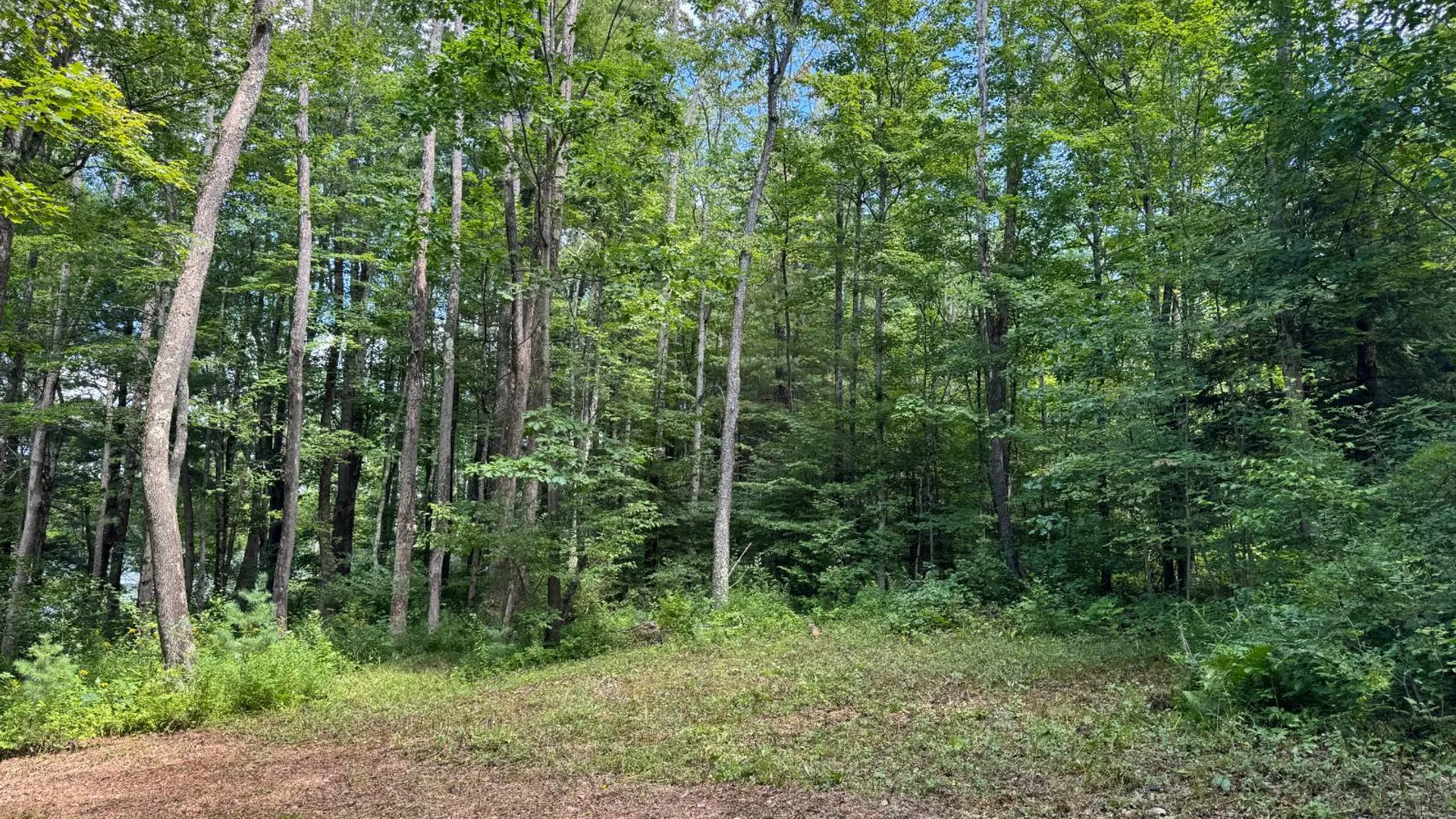 Property at 0 Towers Road, Milford, NY 13807 14