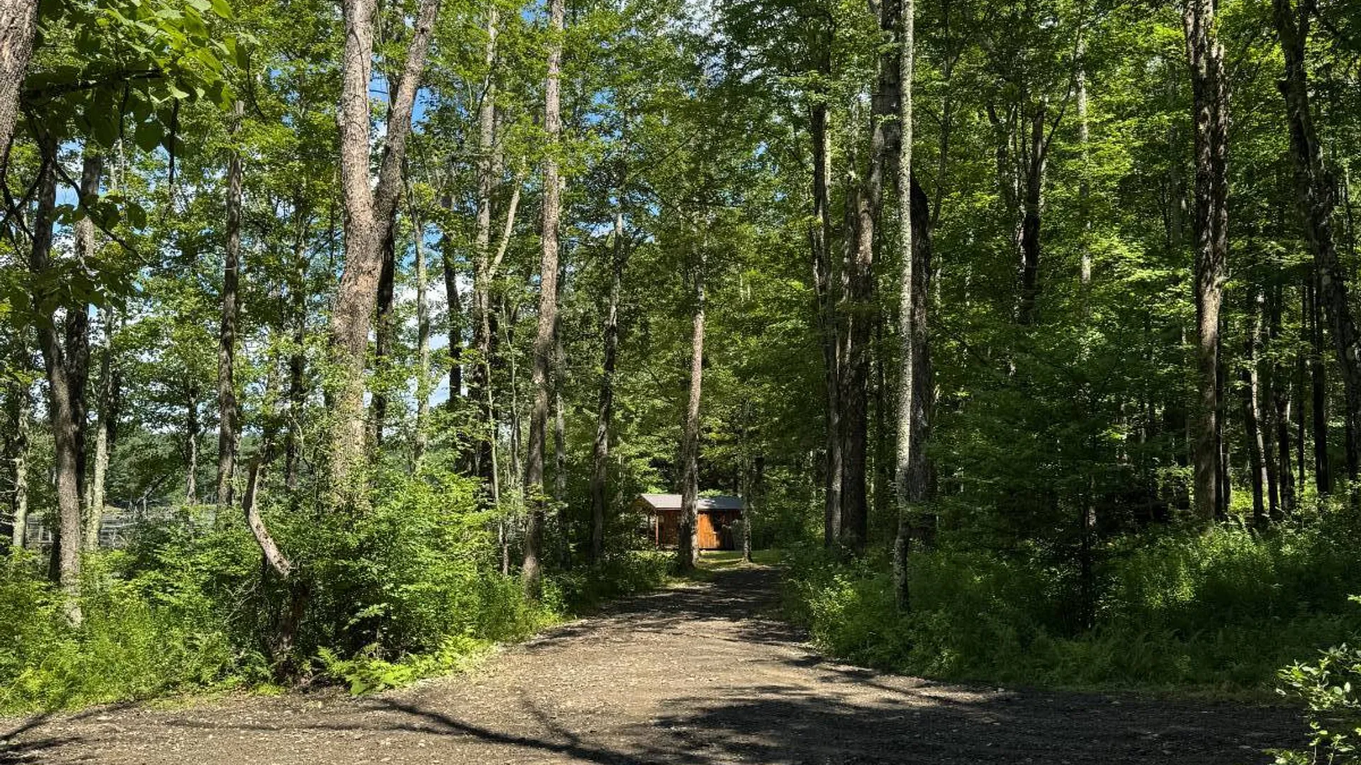 Property at 0 Towers Road, Milford, NY 13807 17