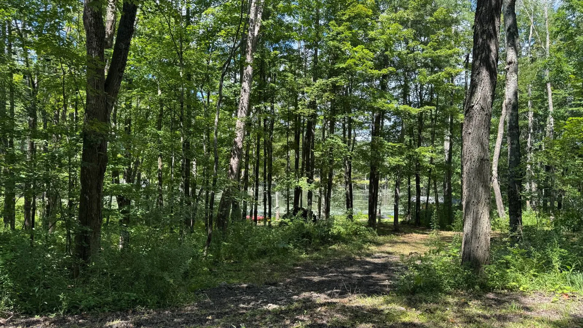 Property at 0 Towers Road, Milford, NY 13807 21