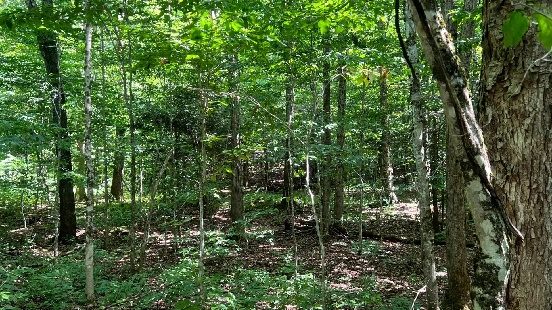 Property at 1.1 Trout Run Dr, Altmar, NY 13302 4
