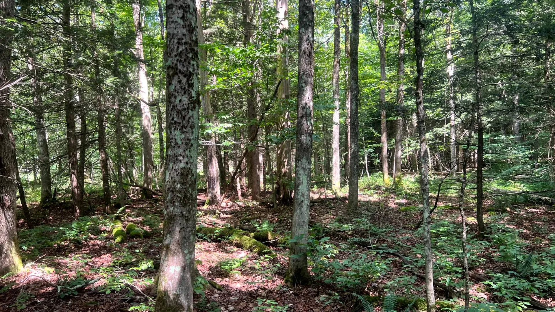 Property at 1.1 Trout Run Dr, Altmar, NY 13302 6