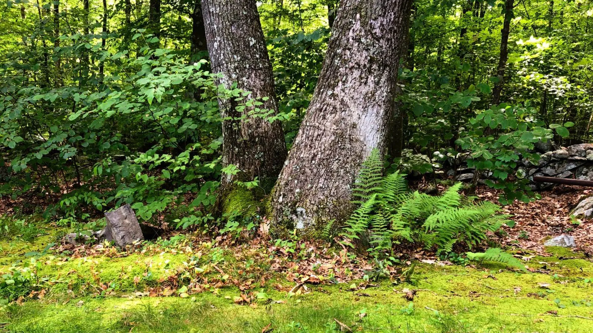 Property at 30 Old East Rd, Wallkill, NY 12589 9