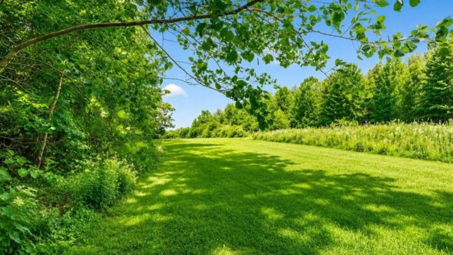 Property at 286 Severine Lane, Fultonville, NY 12072 73