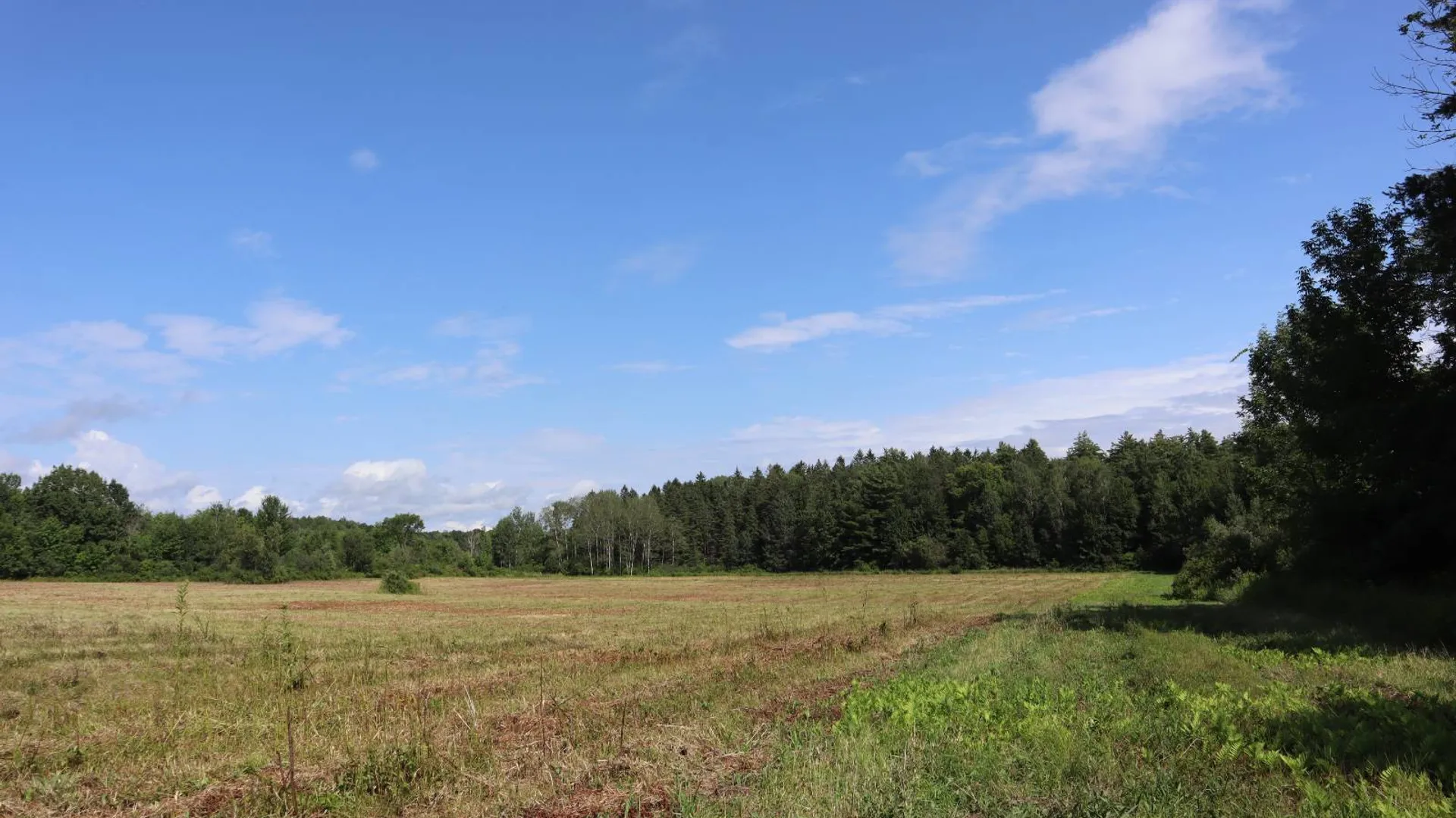 Property at 0 Corbin Hill Rd, Fultonville, NY 12072 11