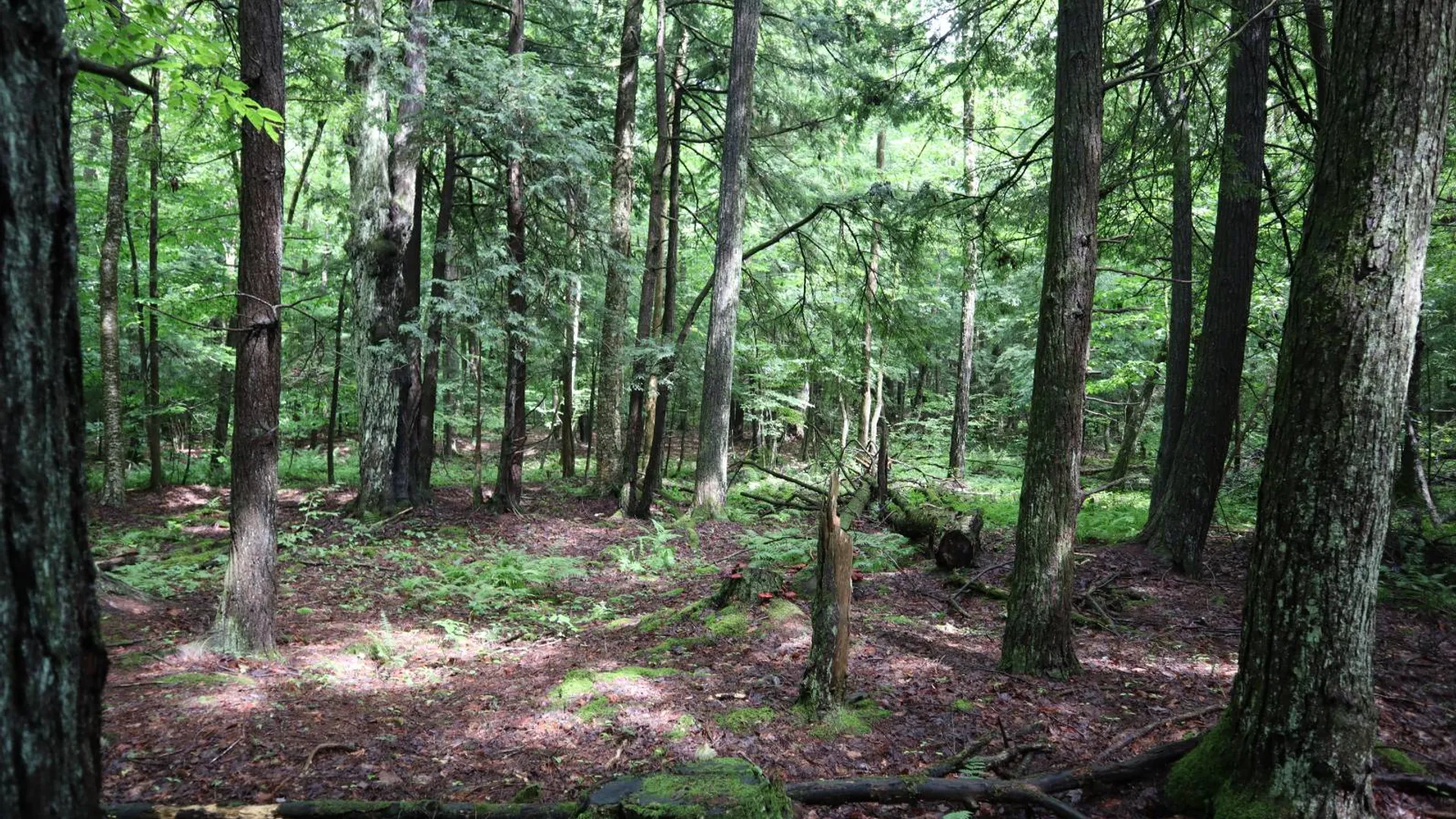 Property at 0 Corbin Hill Rd, Fultonville, NY 12072 24