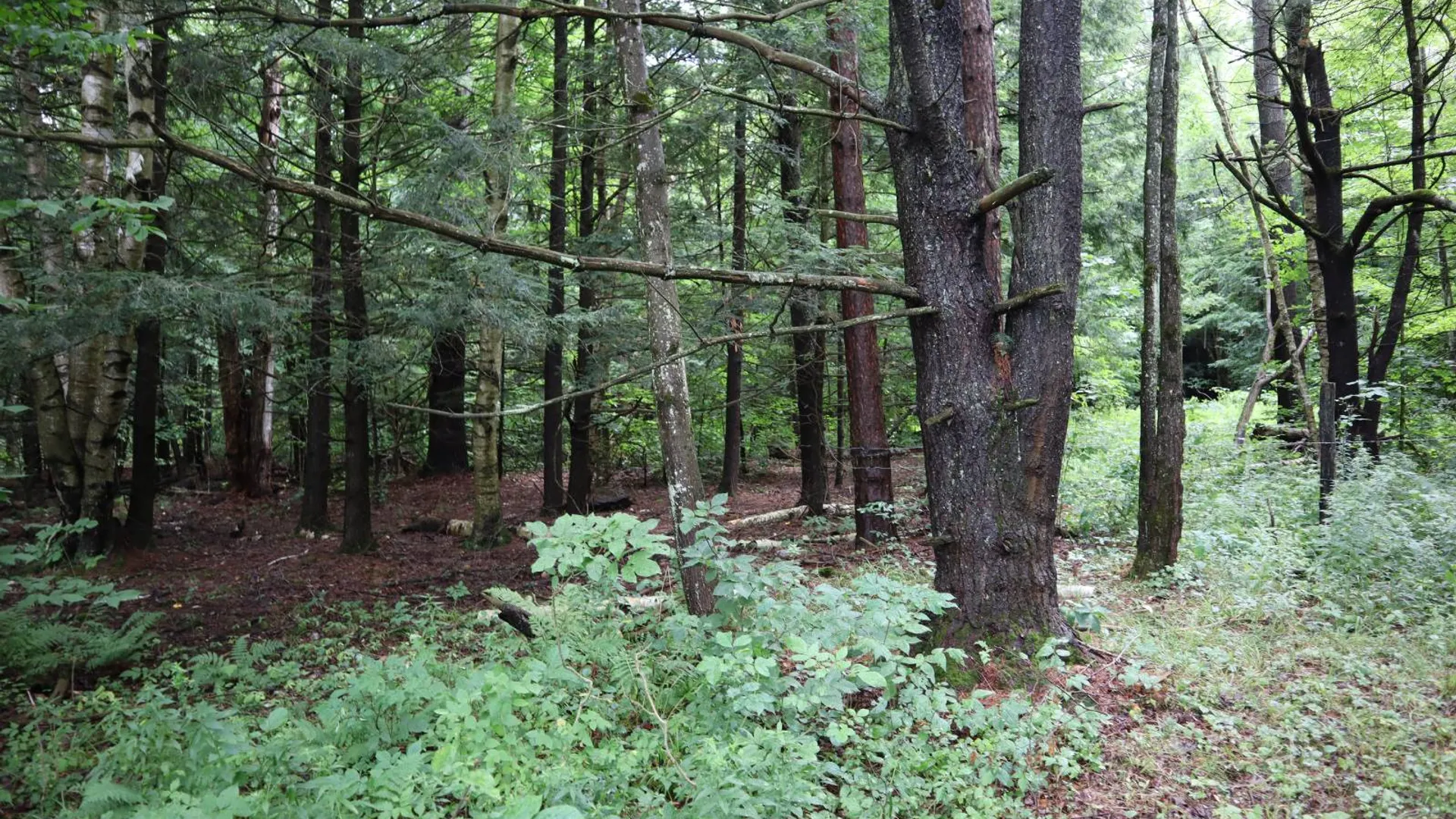 Property at 0 Corbin Hill Rd, Fultonville, NY 12072 29