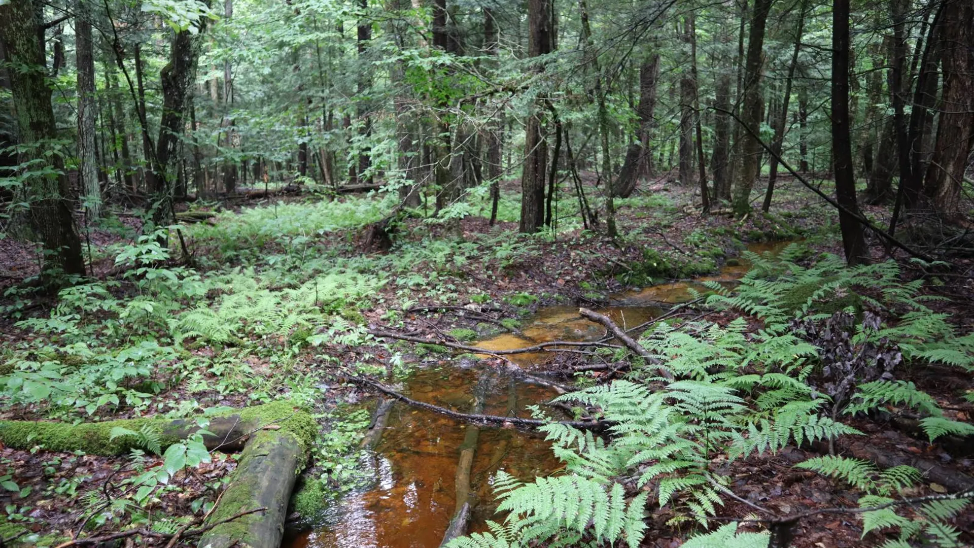 Property at 0 Corbin Hill Rd, Fultonville, NY 12072 35
