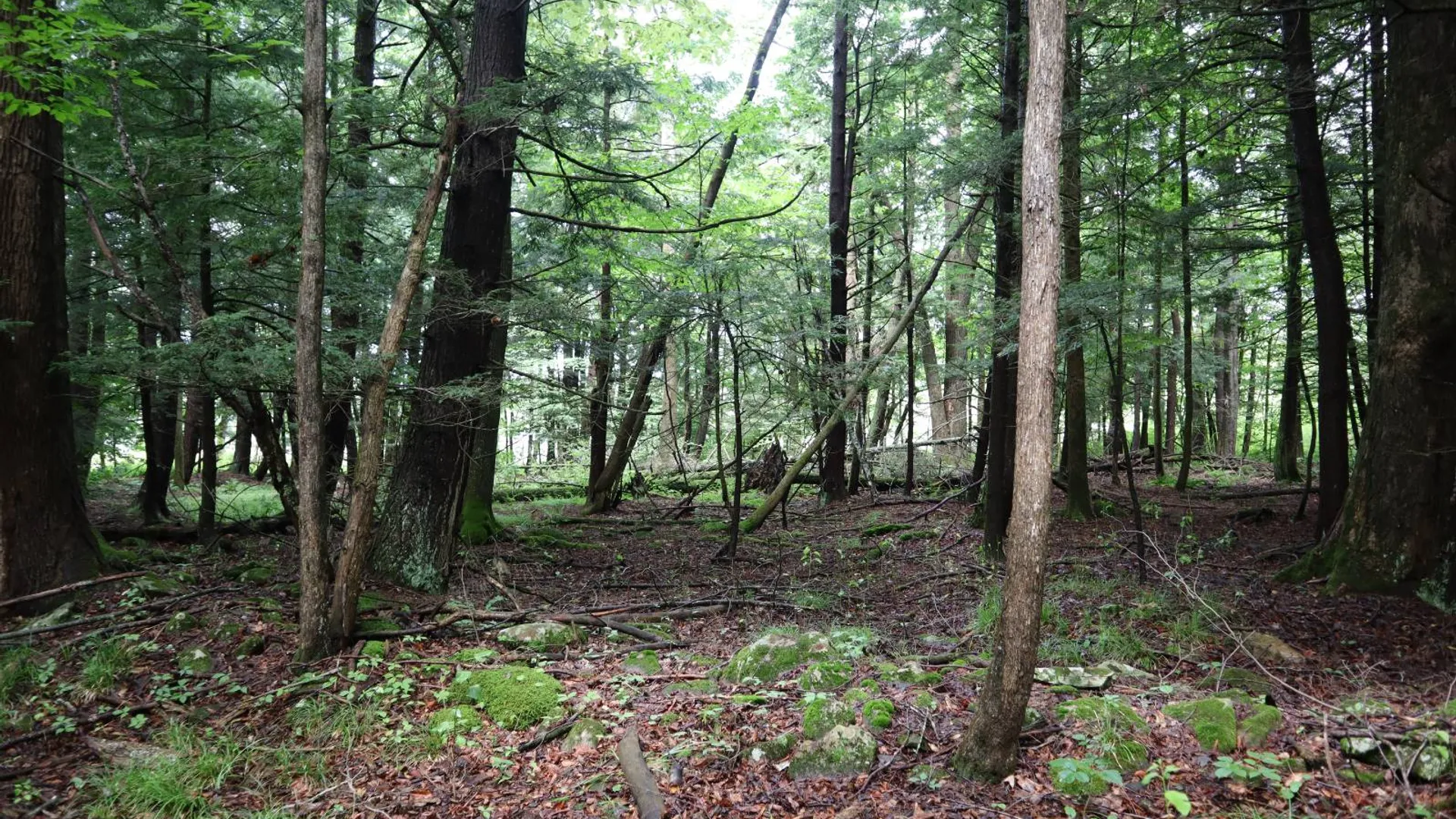 Property at 0 Corbin Hill Rd, Fultonville, NY 12072 38