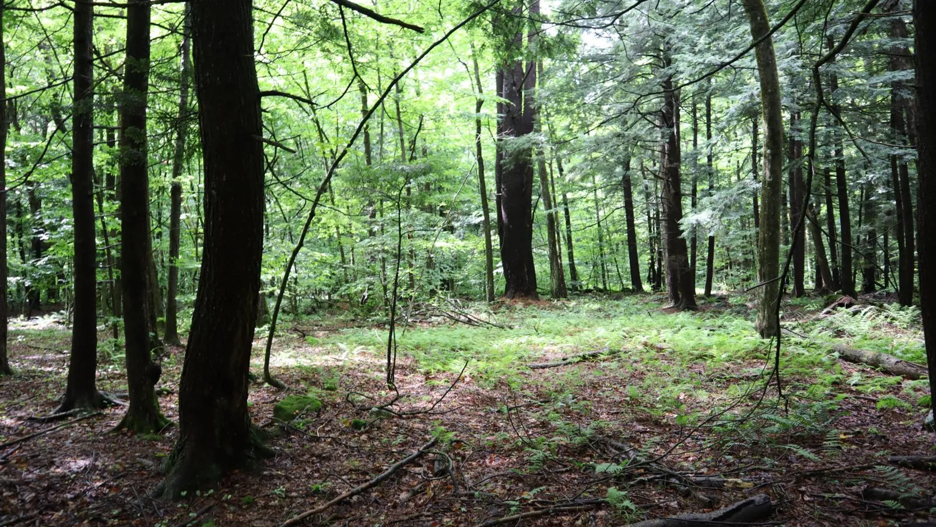 Property at 0 Corbin Hill Rd, Fultonville, NY 12072 41
