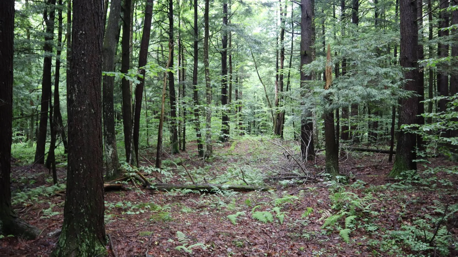 Property at 0 Corbin Hill Rd, Fultonville, NY 12072 48