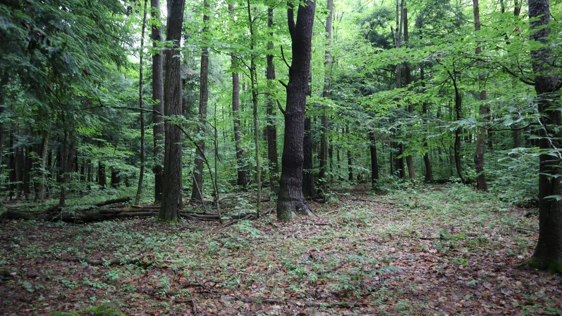 Property at 0 Corbin Hill Rd, Fultonville, NY 12072 50