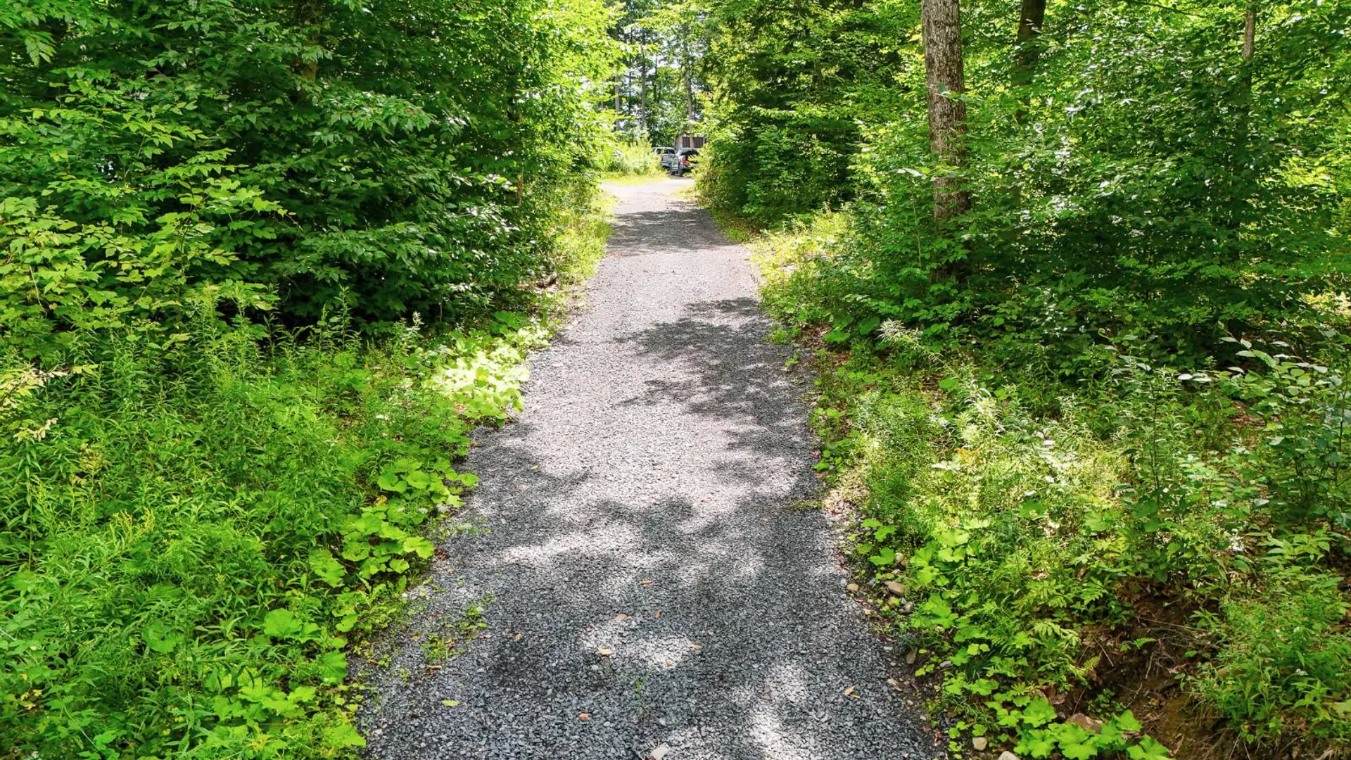 Property at 812 Gardnersville Rd, Sharons Springs, NY 13459 10