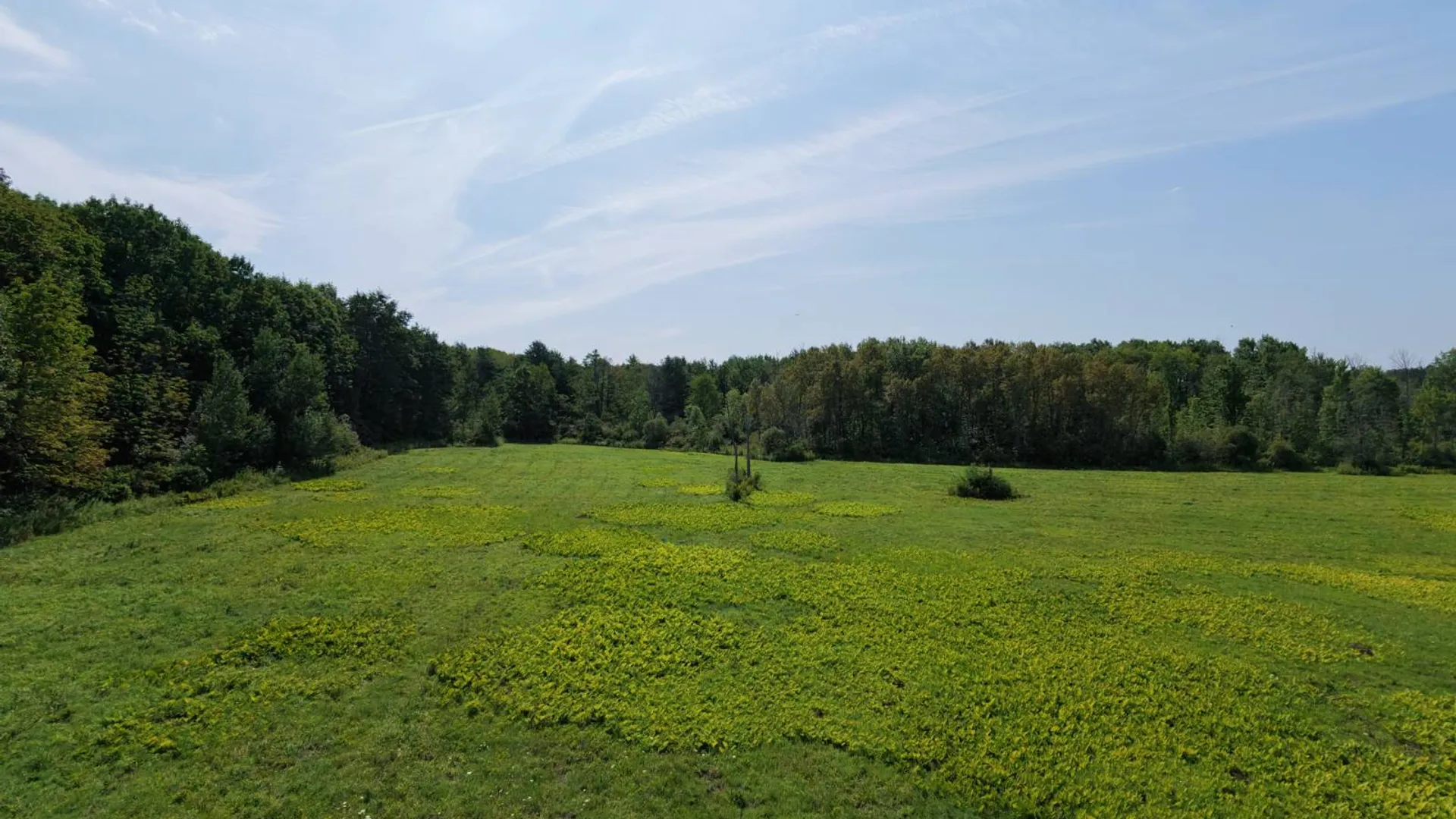 Property at 0 Route 30A, Fultonville, NY 12072 4