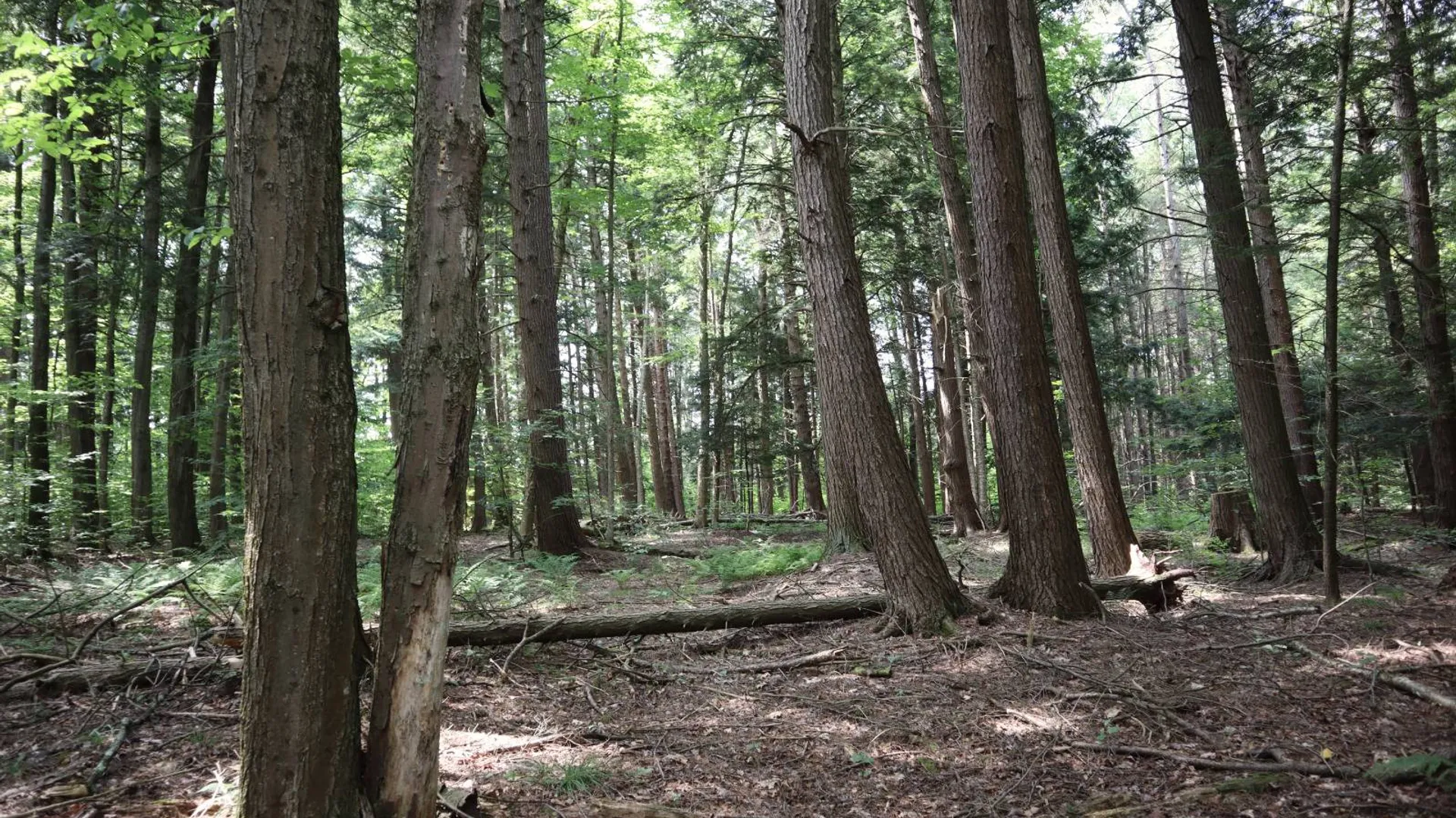 Property at 0 Route 30A, Fultonville, NY 12072 9