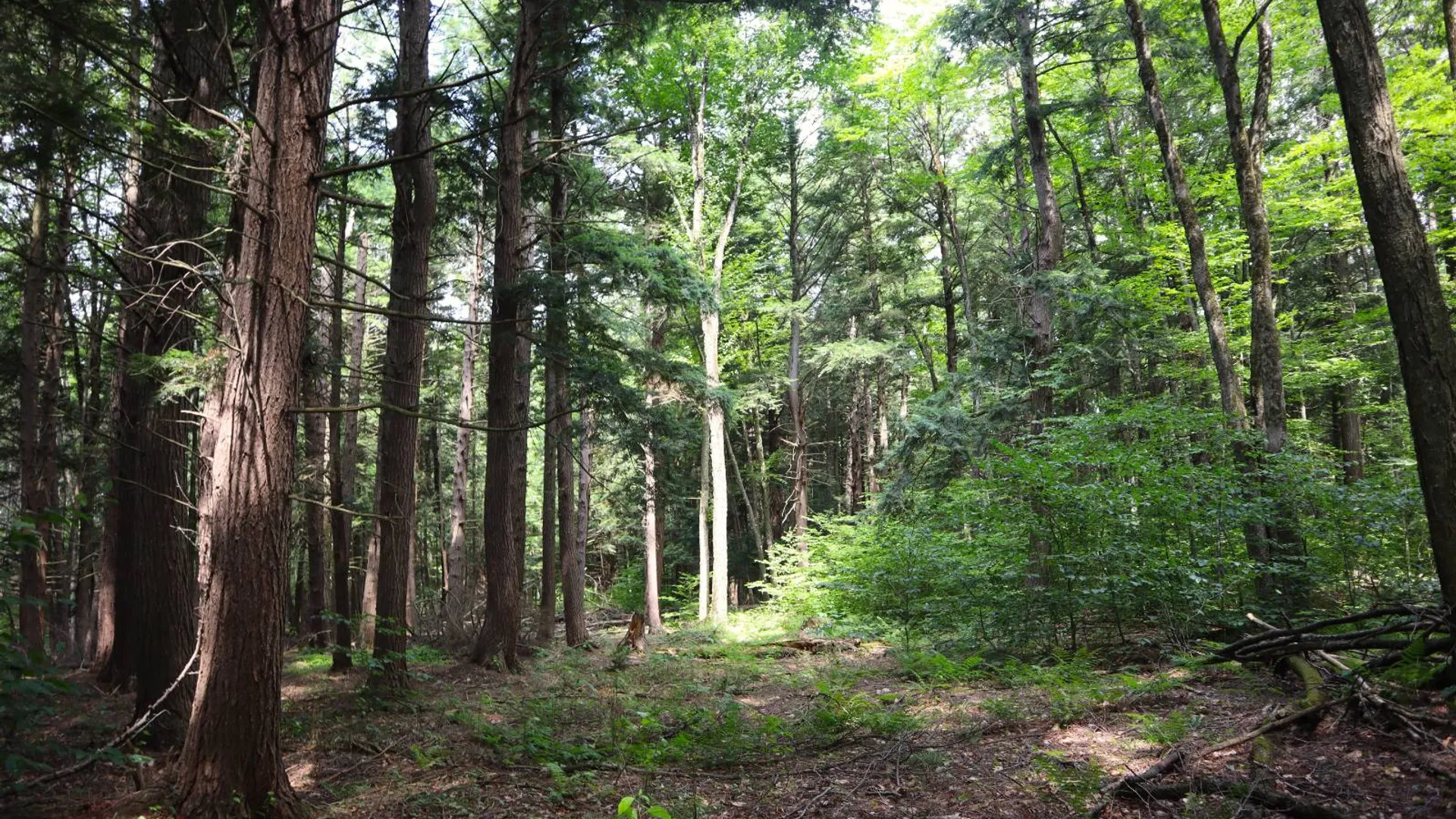 Property at 0 Route 30A, Fultonville, NY 12072 14