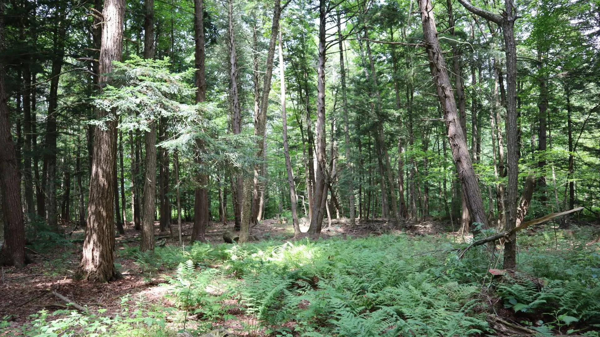Property at 0 Route 30A, Fultonville, NY 12072 15