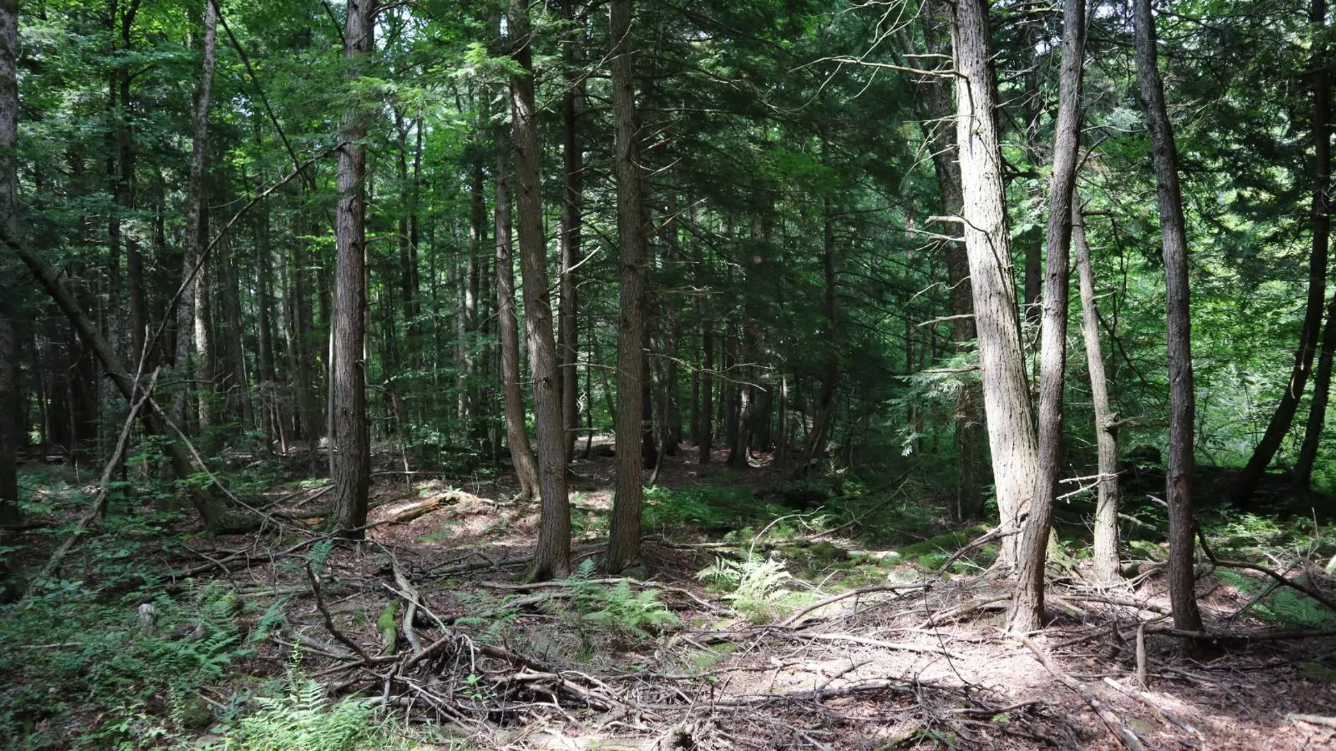 Property at 0 Route 30A, Fultonville, NY 12072 16