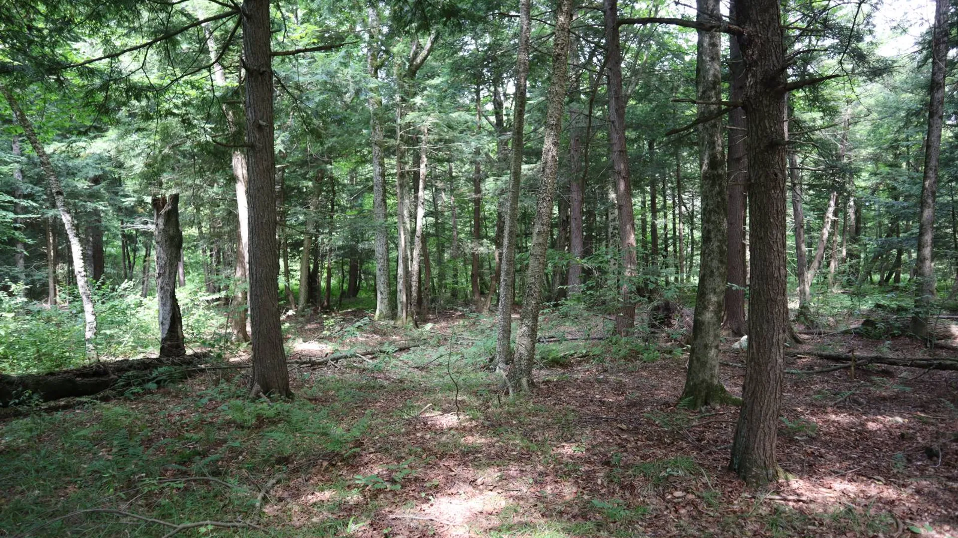 Property at 0 Route 30A, Fultonville, NY 12072 17
