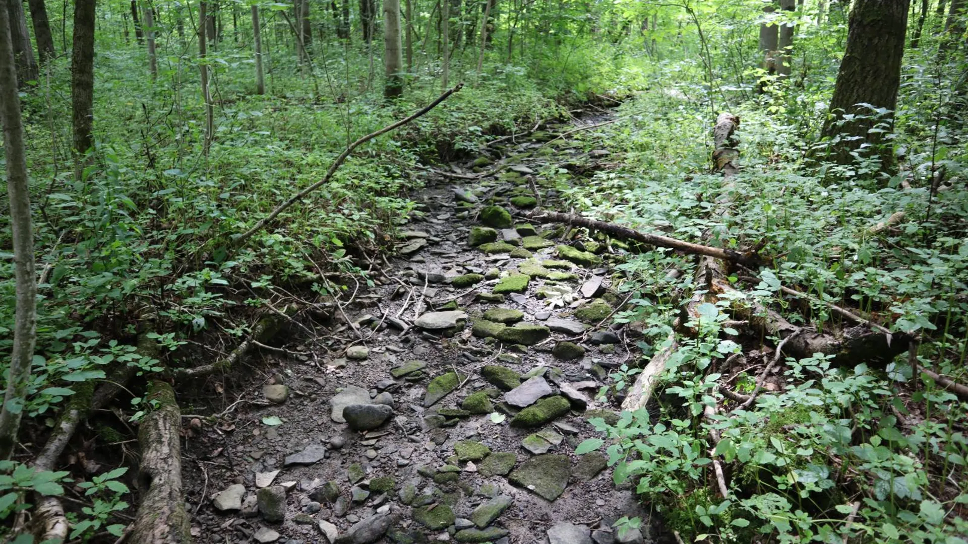 Property at 0 Route 30A, Fultonville, NY 12072 21