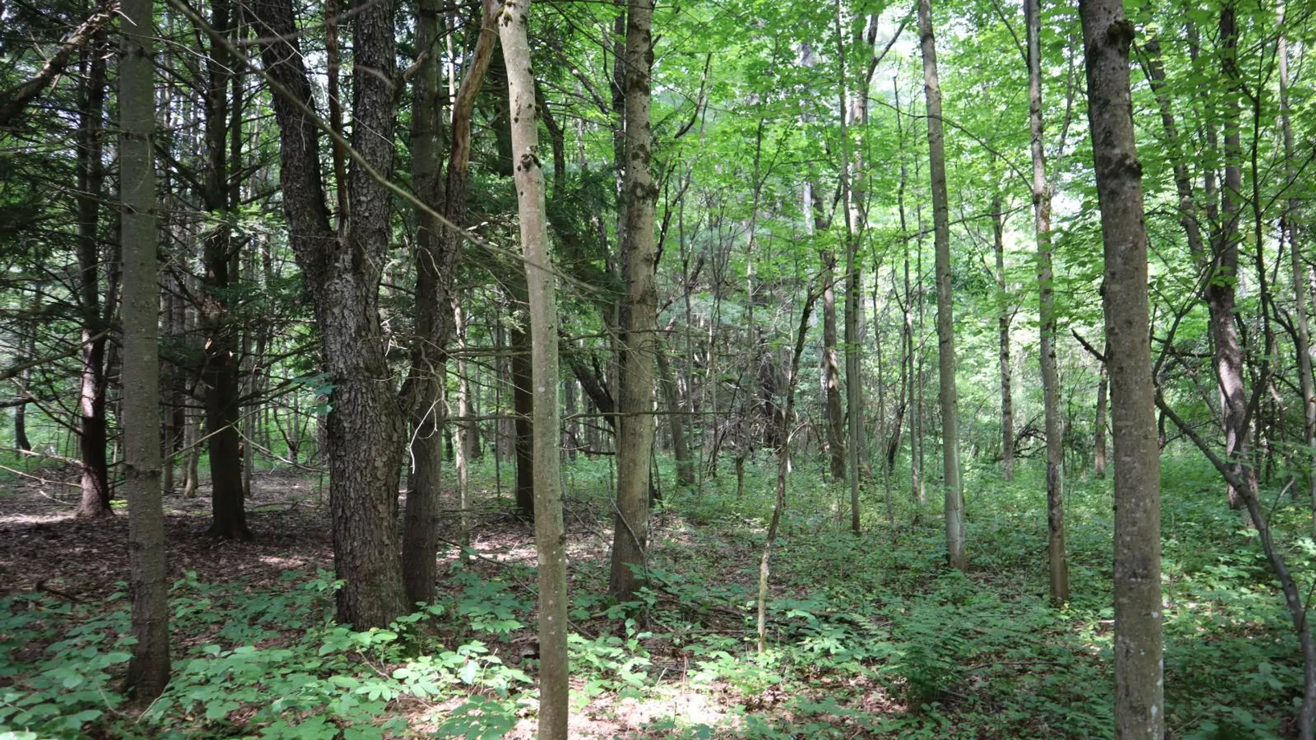 Property at 0 Route 30A, Fultonville, NY 12072 22