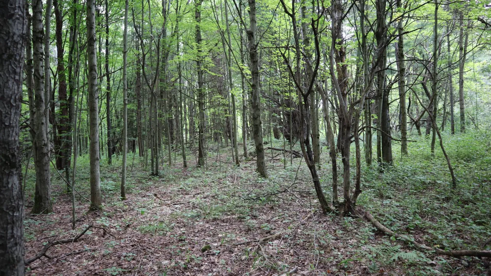 Property at 0 Route 30A, Fultonville, NY 12072 27