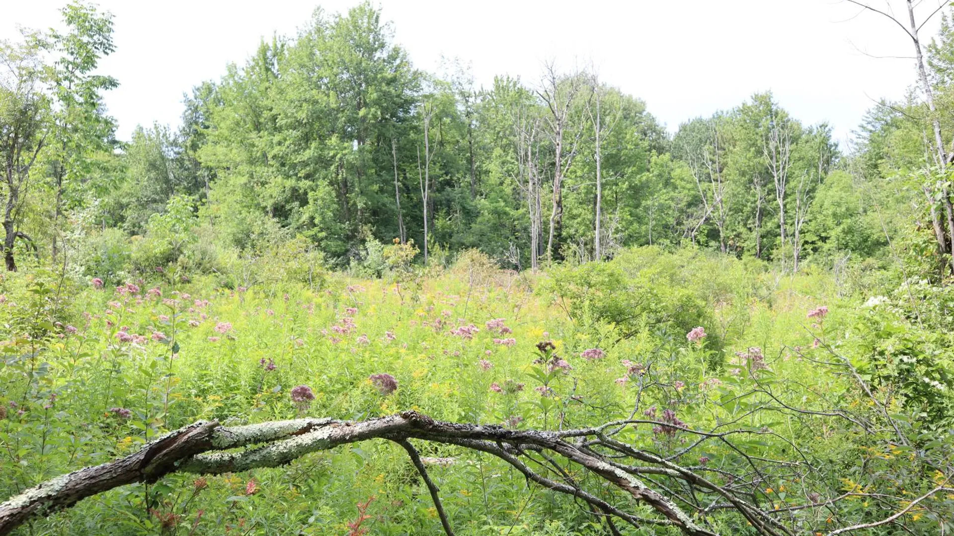 Property at 0 Route 30A, Fultonville, NY 12072 30