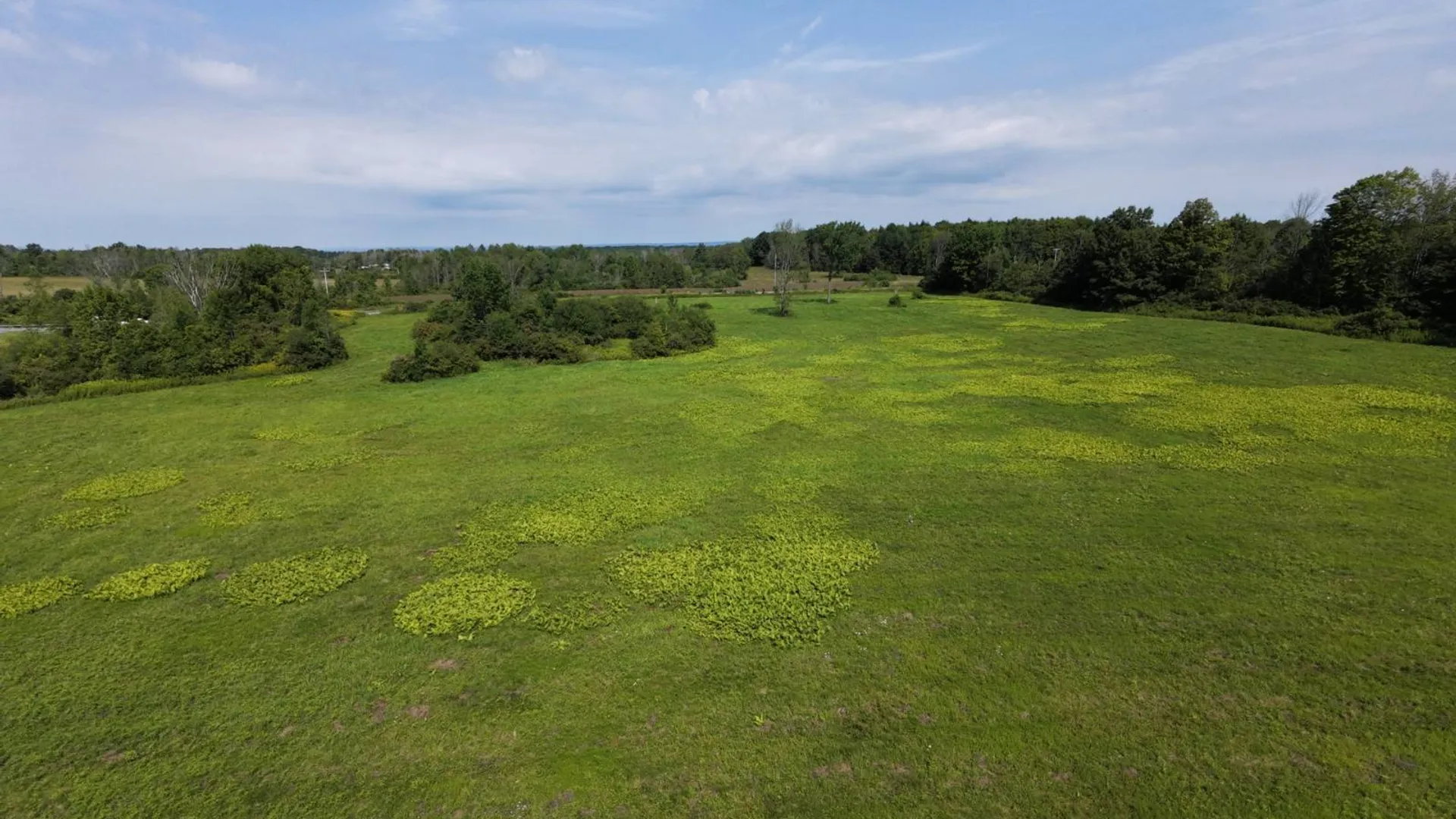 Property at 0 Route 30A, Fultonville, NY 12072 34