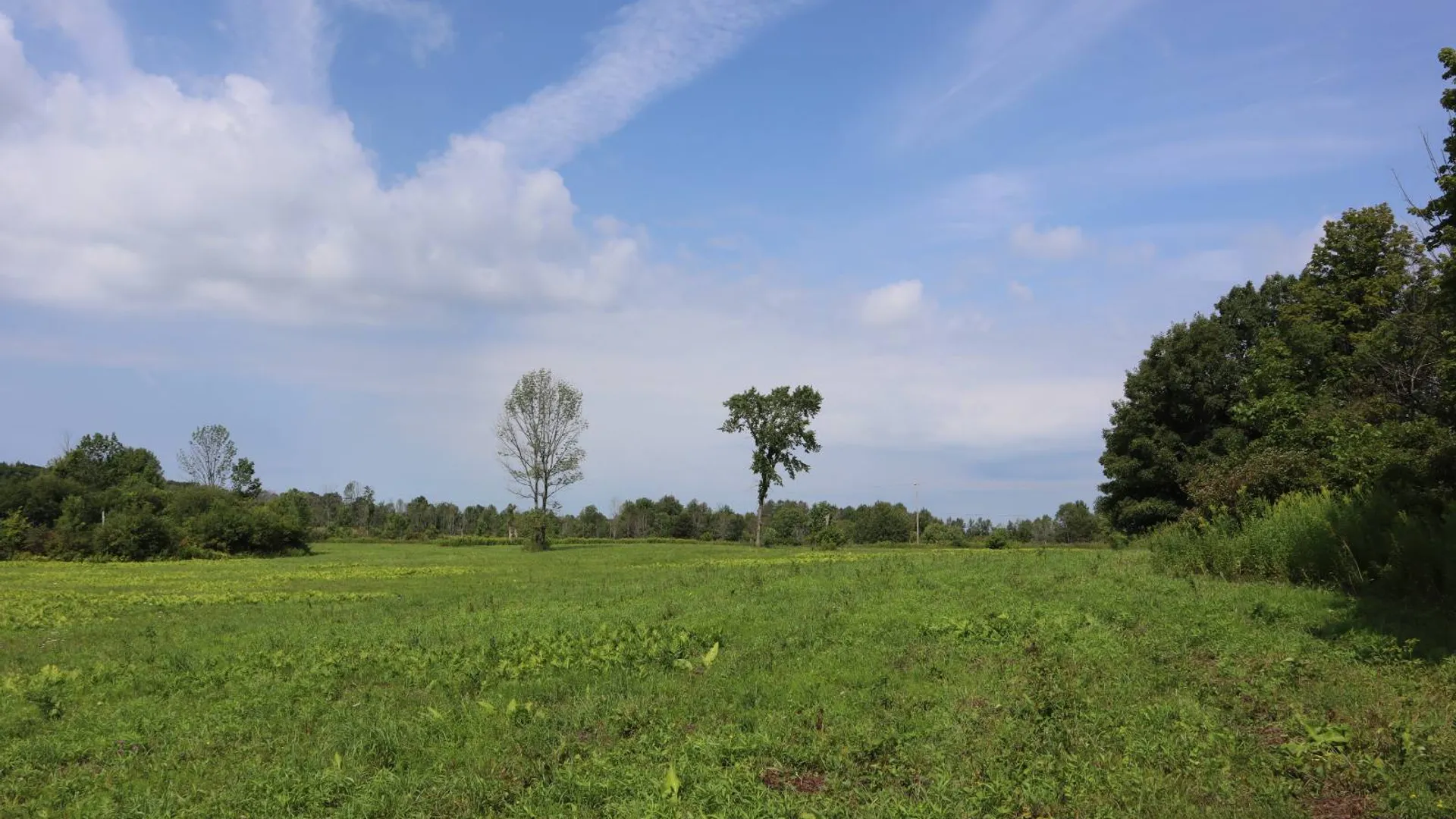 Property at 0 Route 30A, Fultonville, NY 12072 35