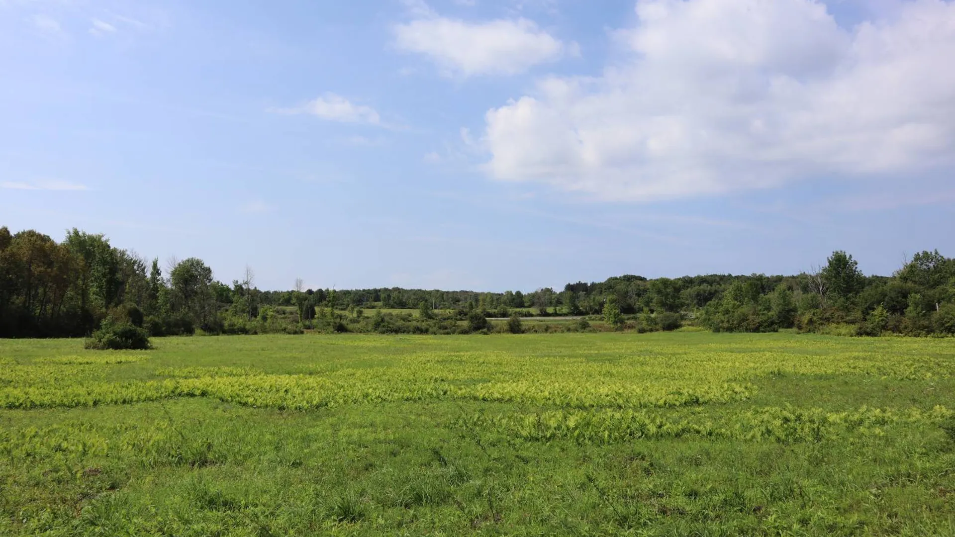 Property at 0 Route 30A, Fultonville, NY 12072 36
