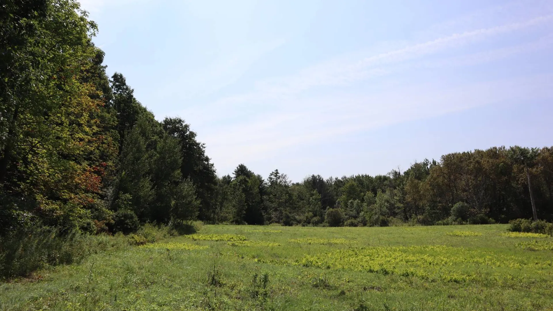 Property at 0 Route 30A, Fultonville, NY 12072 37