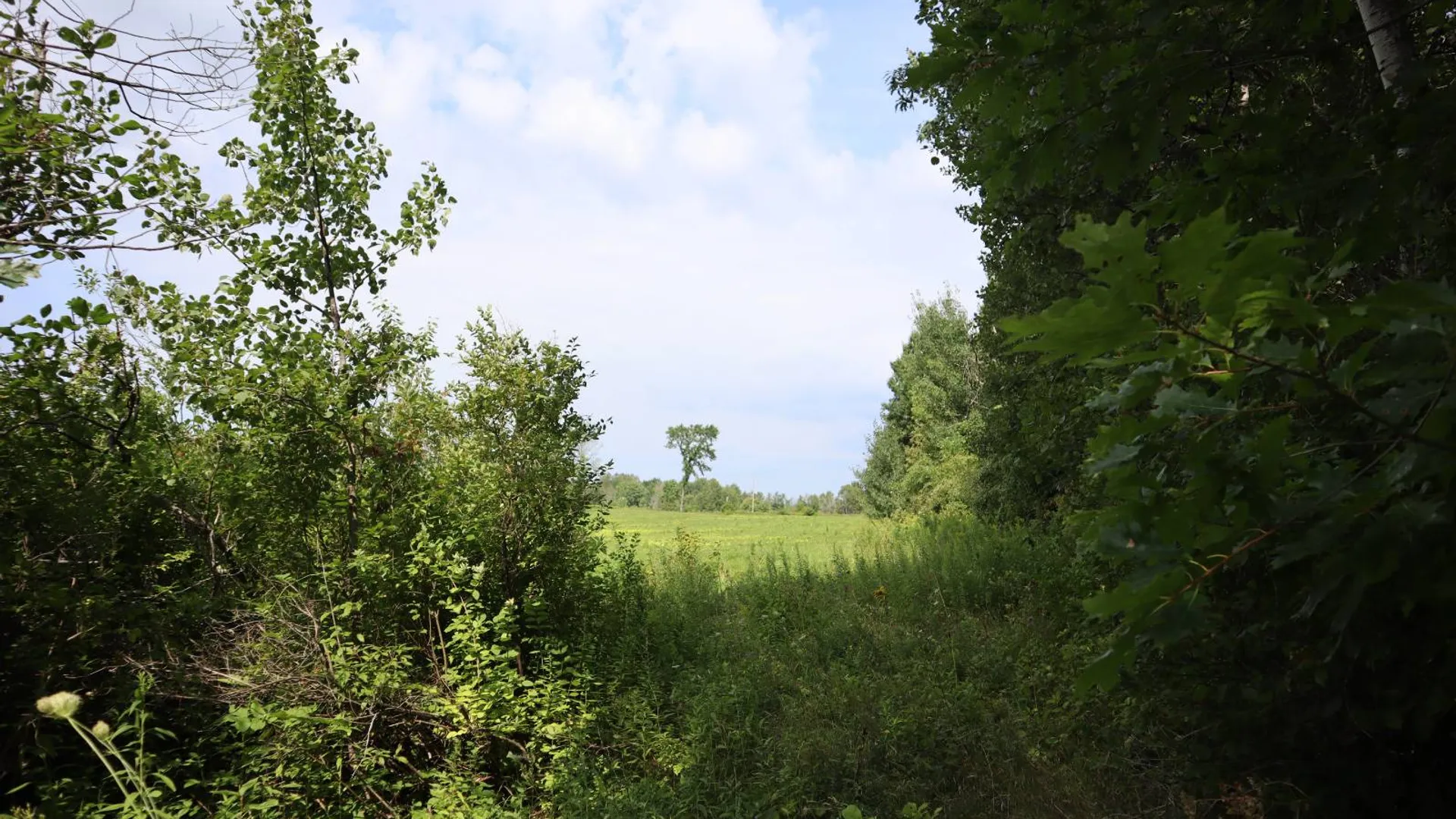 Property at 0 Route 30A, Fultonville, NY 12072 38