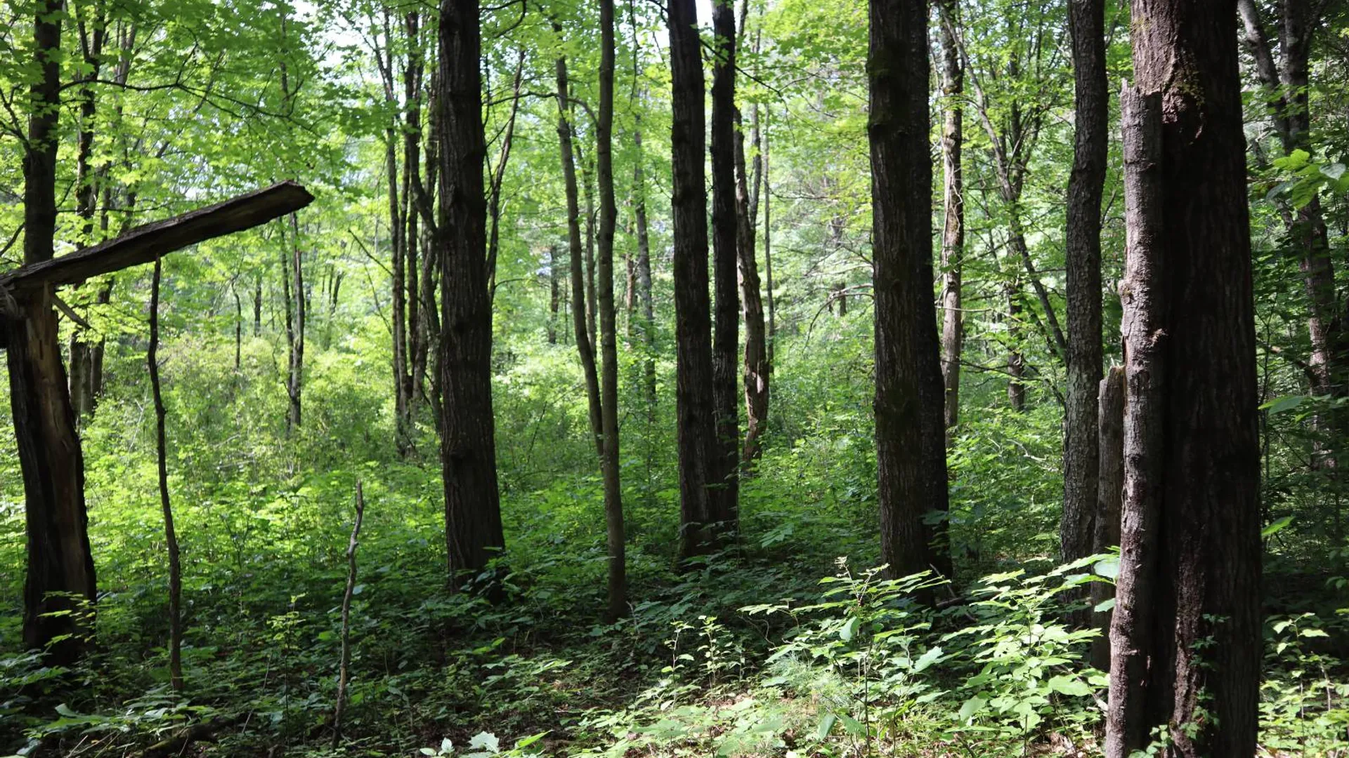 Property at 0 Route 30A, Fultonville, NY 12072 39