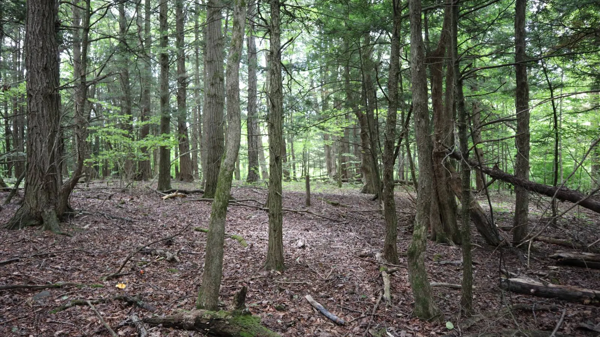 Property at 0 Route 30A, Fultonville, NY 12072 40