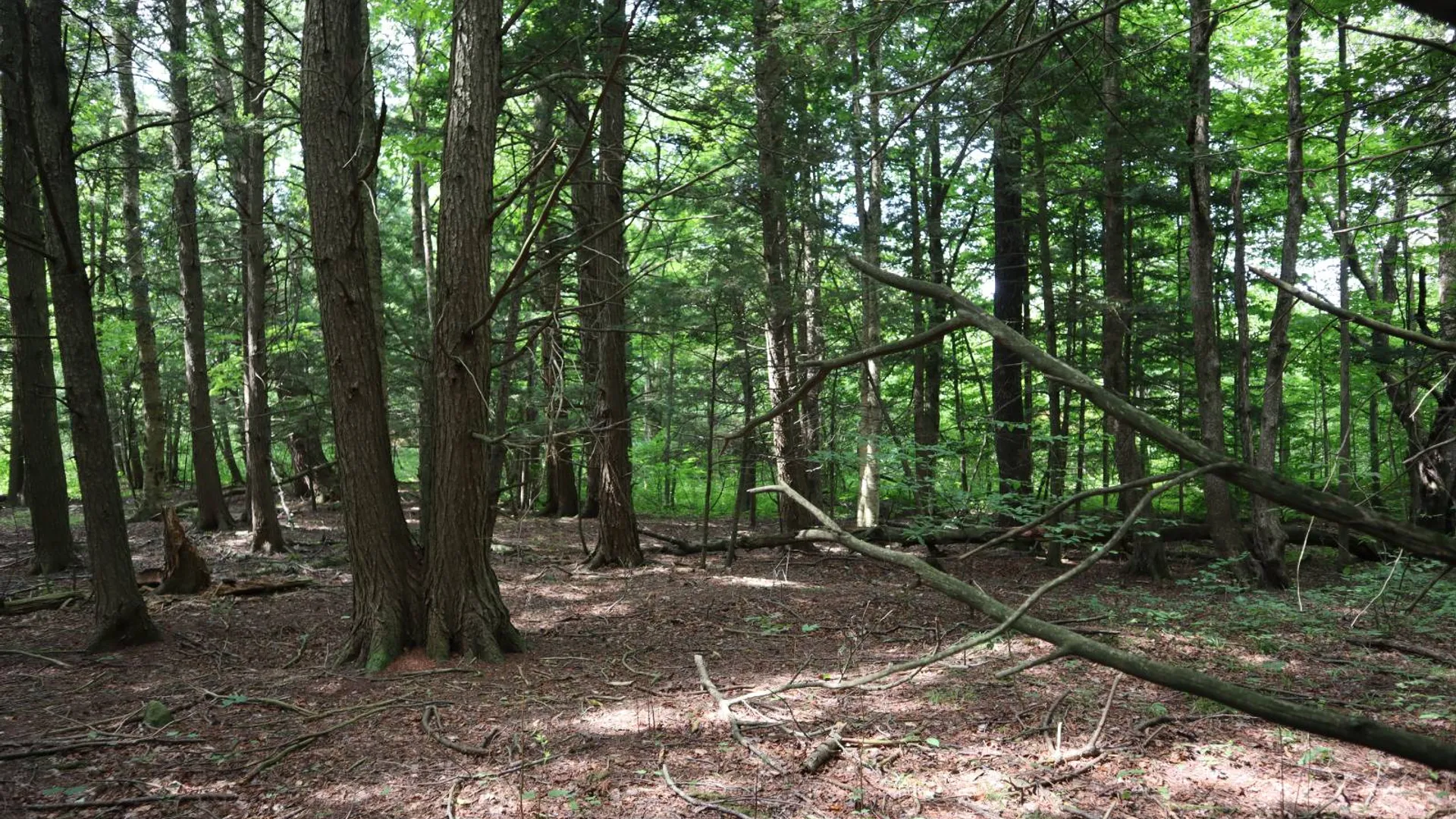 Property at 0 Route 30A, Fultonville, NY 12072 42