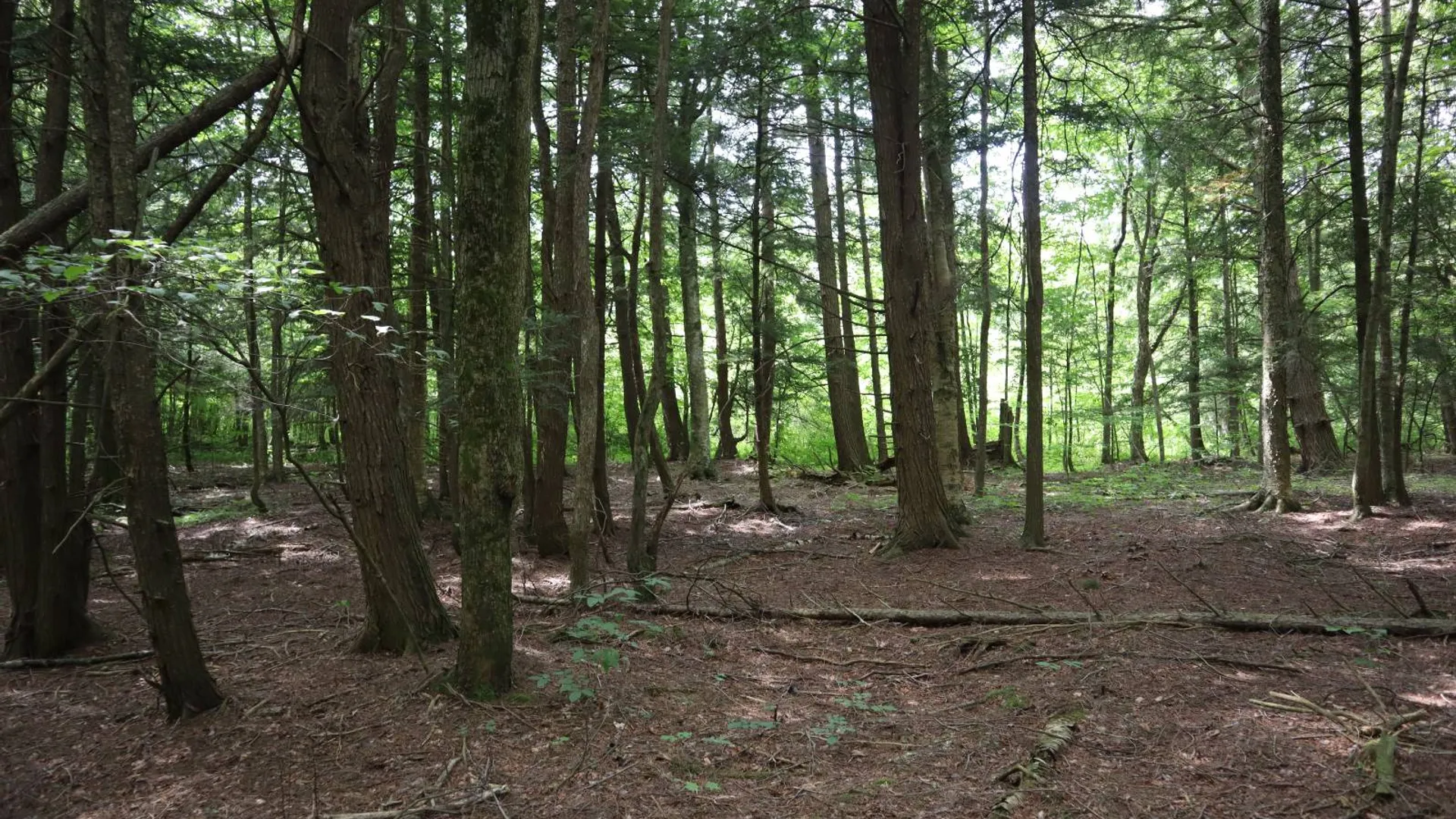 Property at 0 Route 30A, Fultonville, NY 12072 43