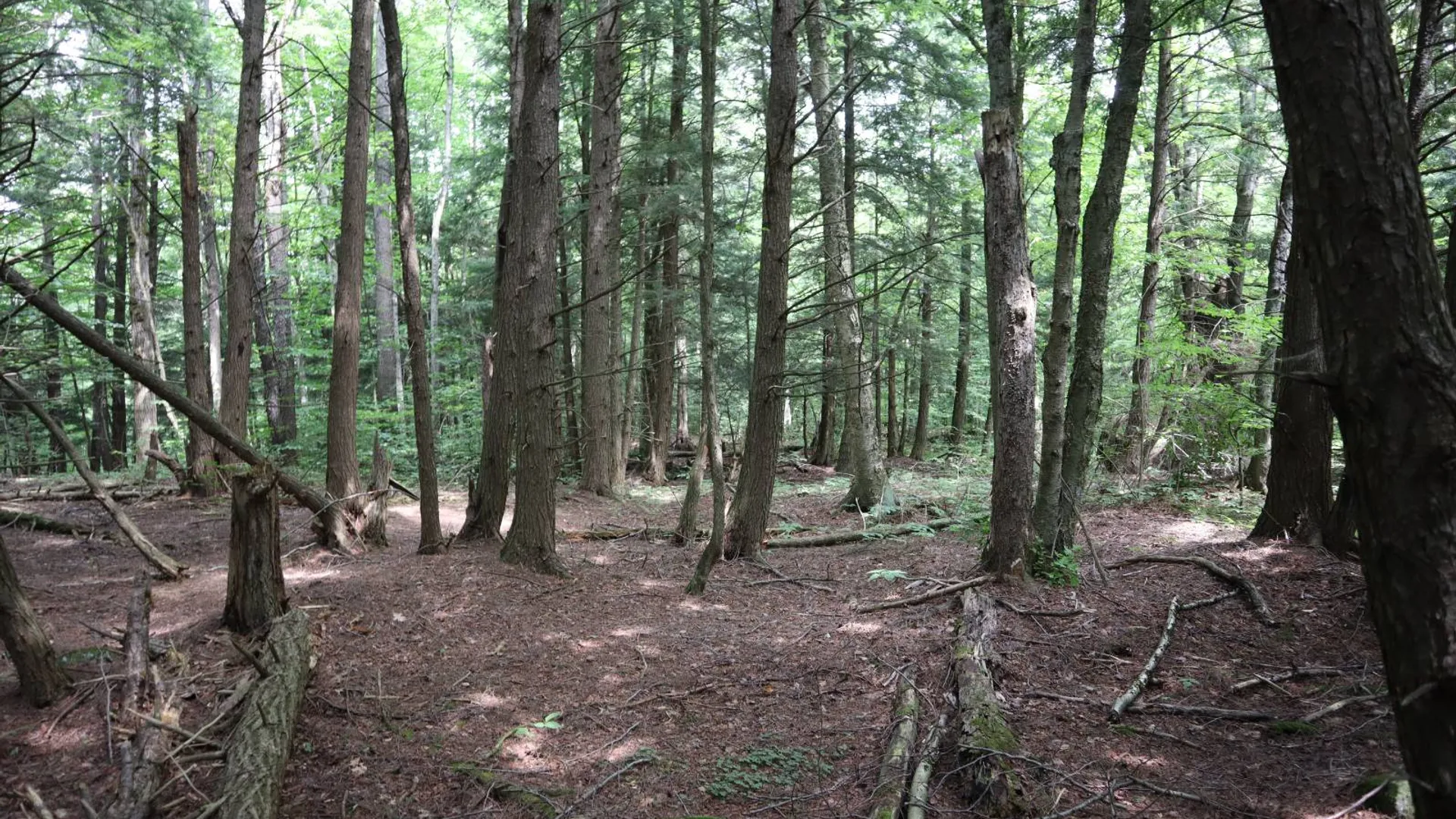 Property at 0 Route 30A, Fultonville, NY 12072 45