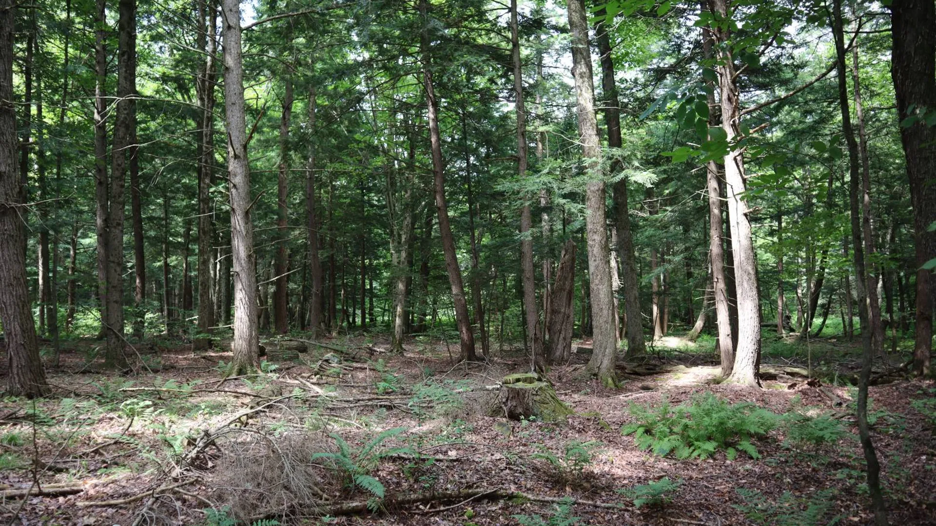 Property at 0 Route 30A, Fultonville, NY 12072 48