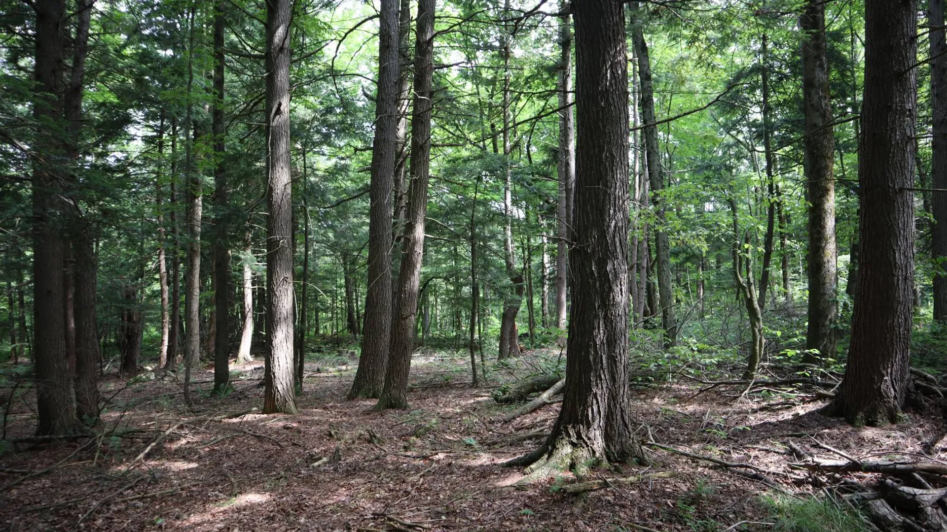 Property at 0 Route 30A, Fultonville, NY 12072 50