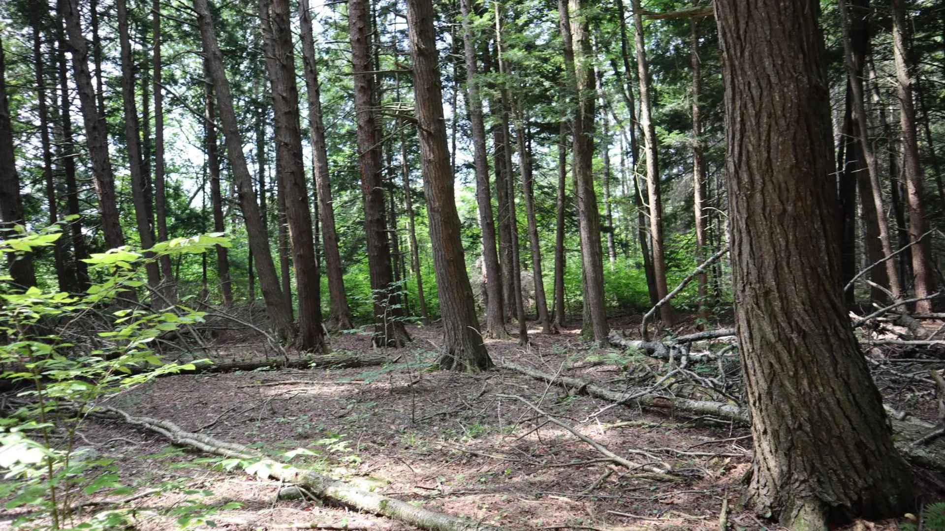 Property at 0 Route 30A, Fultonville, NY 12072 52