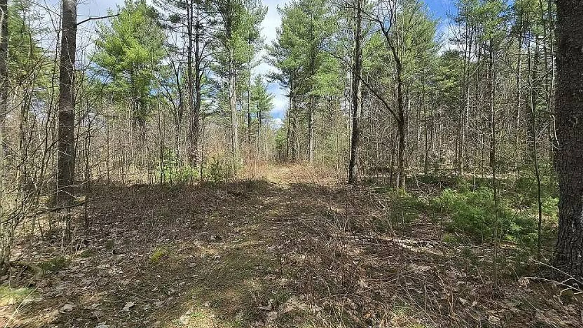 Property at 13612 Lewisburg Road, Diana, NY 13665 6
