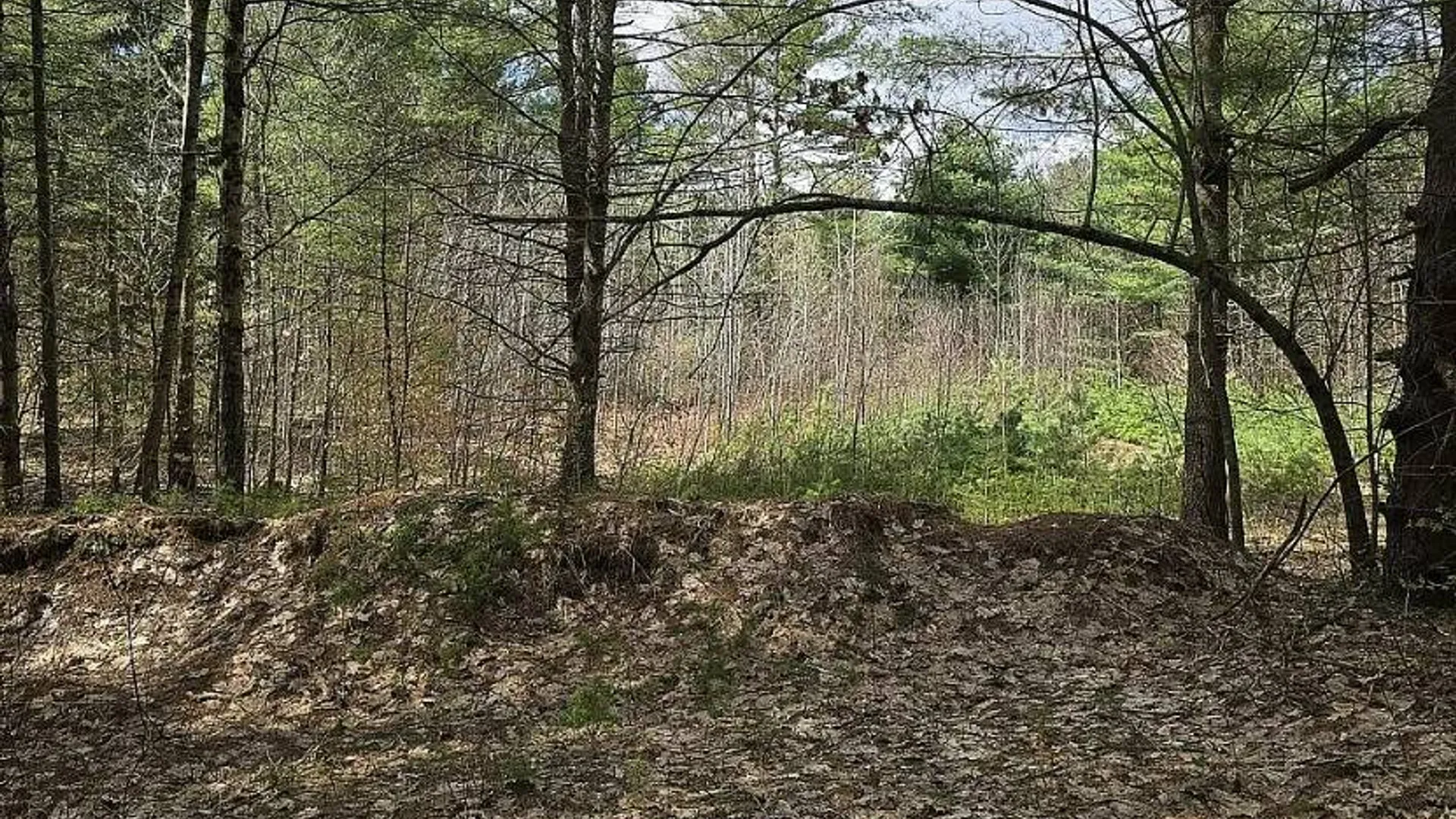 Property at 13612 Lewisburg Road, Diana, NY 13665 14