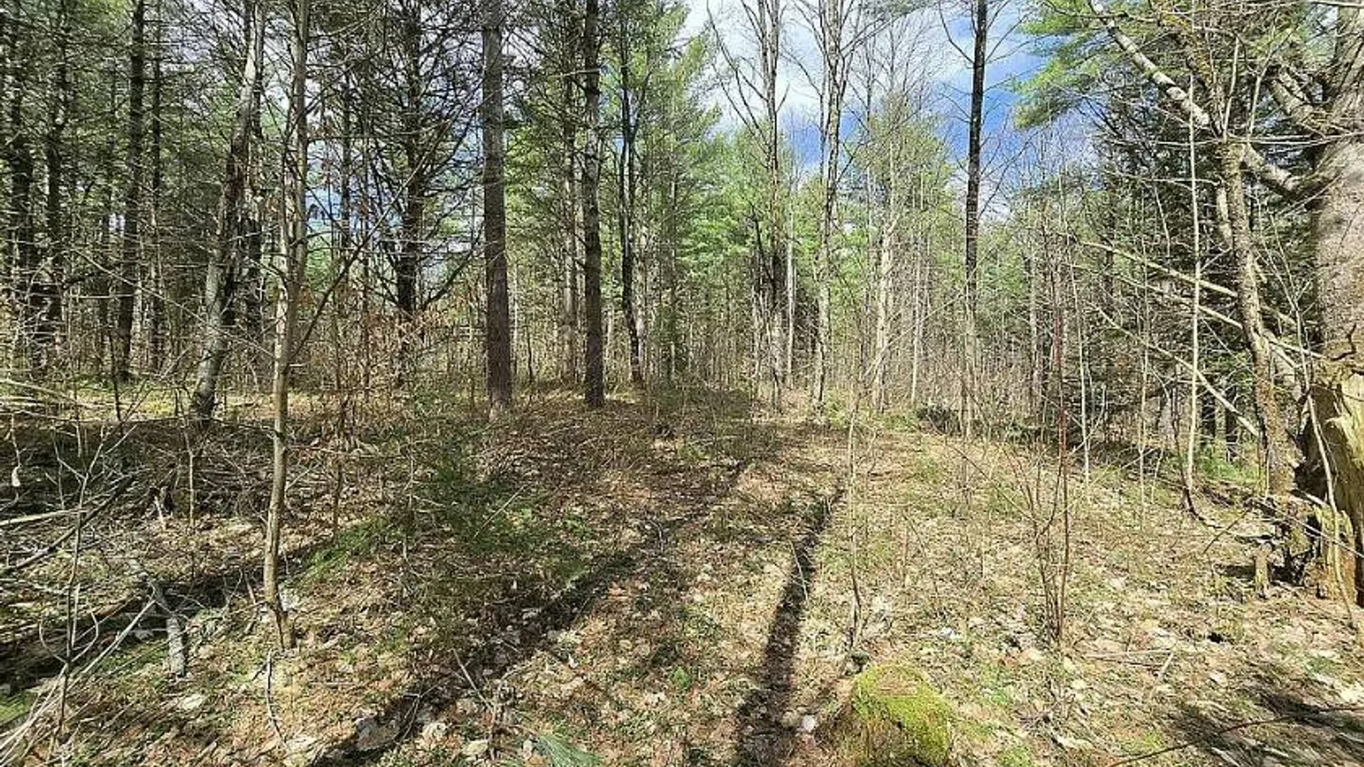 Property at 13612 Lewisburg Road, Diana, NY 13665 15