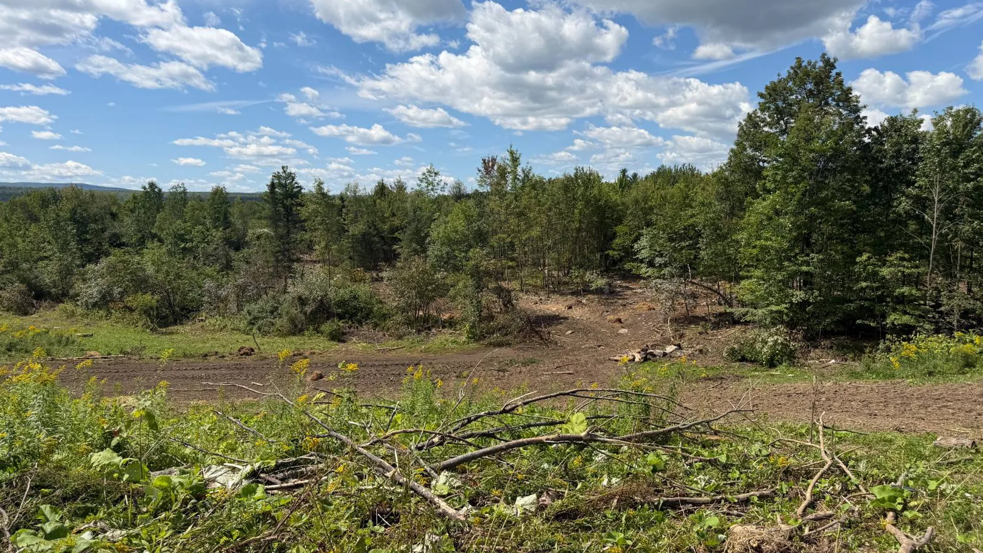 Property at 29 Station Hill Road, Ellenburg Depot, NY 12935 50