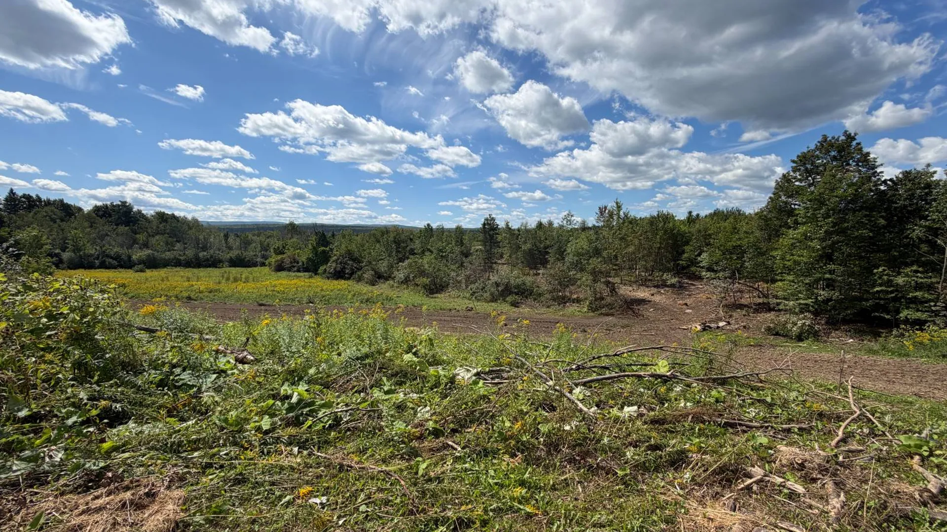 Property at 29 Station Hill Road, Ellenburg Depot, NY 12935 51
