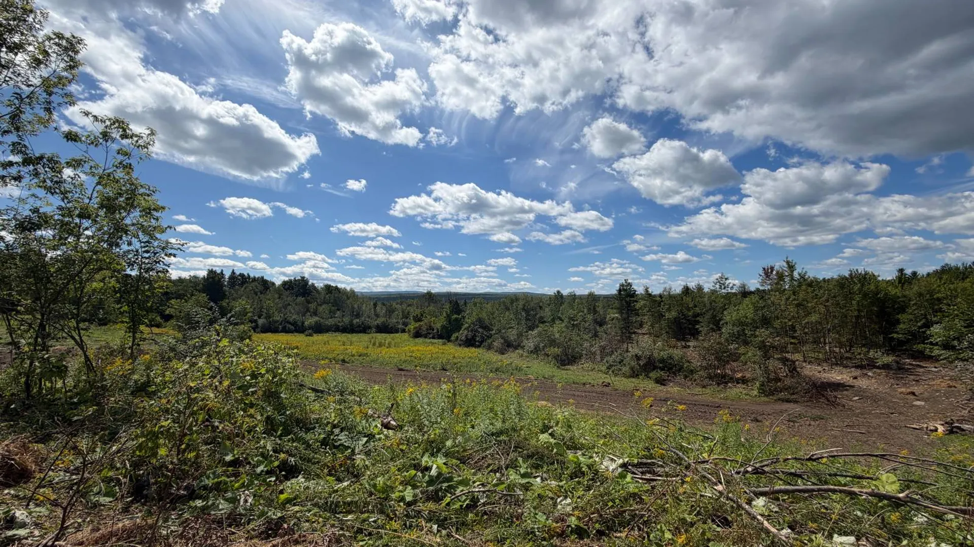 Property at 29 Station Hill Road, Ellenburg Depot, NY 12935 52
