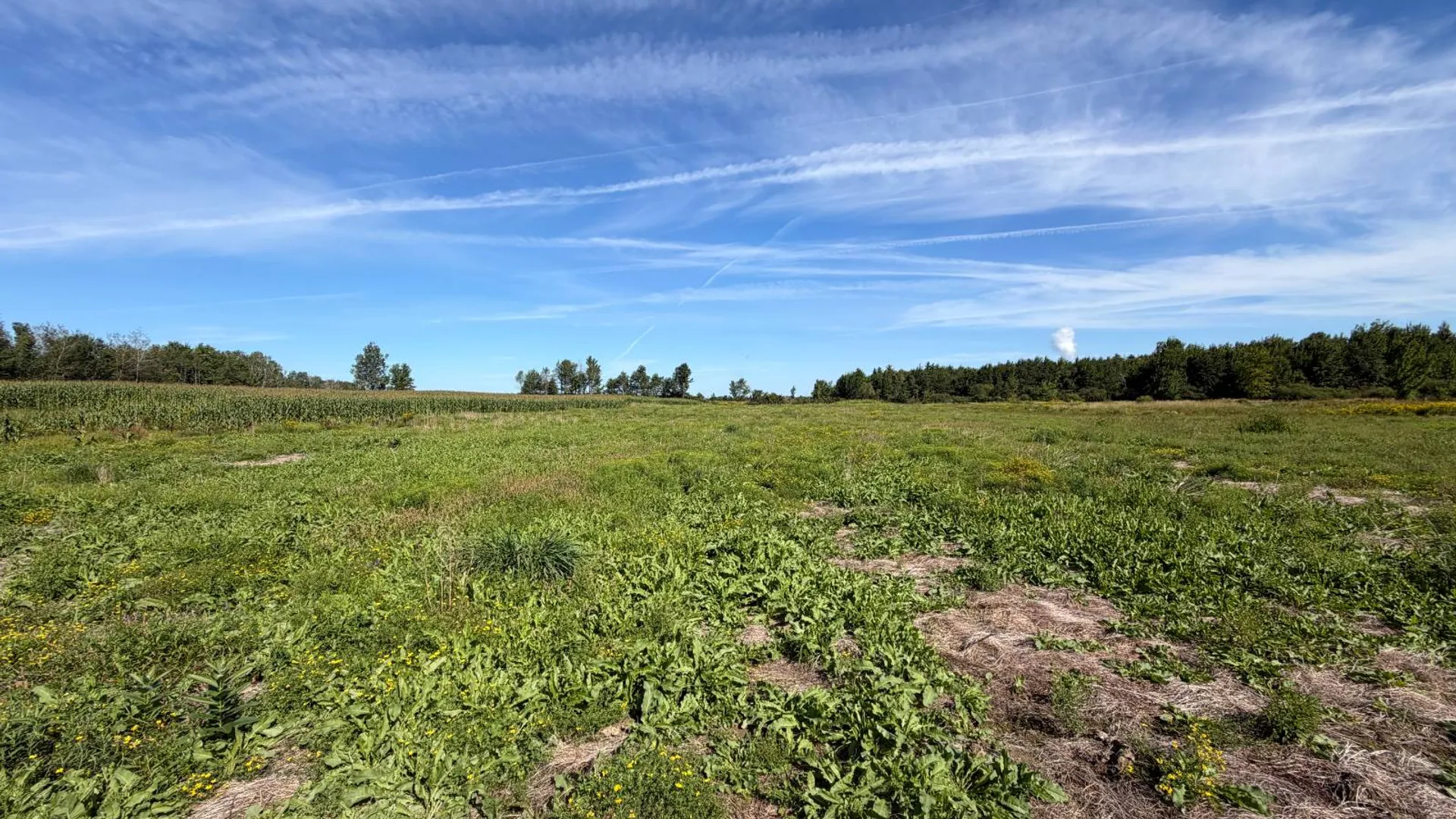 Property at 29 Station Hill Road, Ellenburg Depot, NY 12935 25