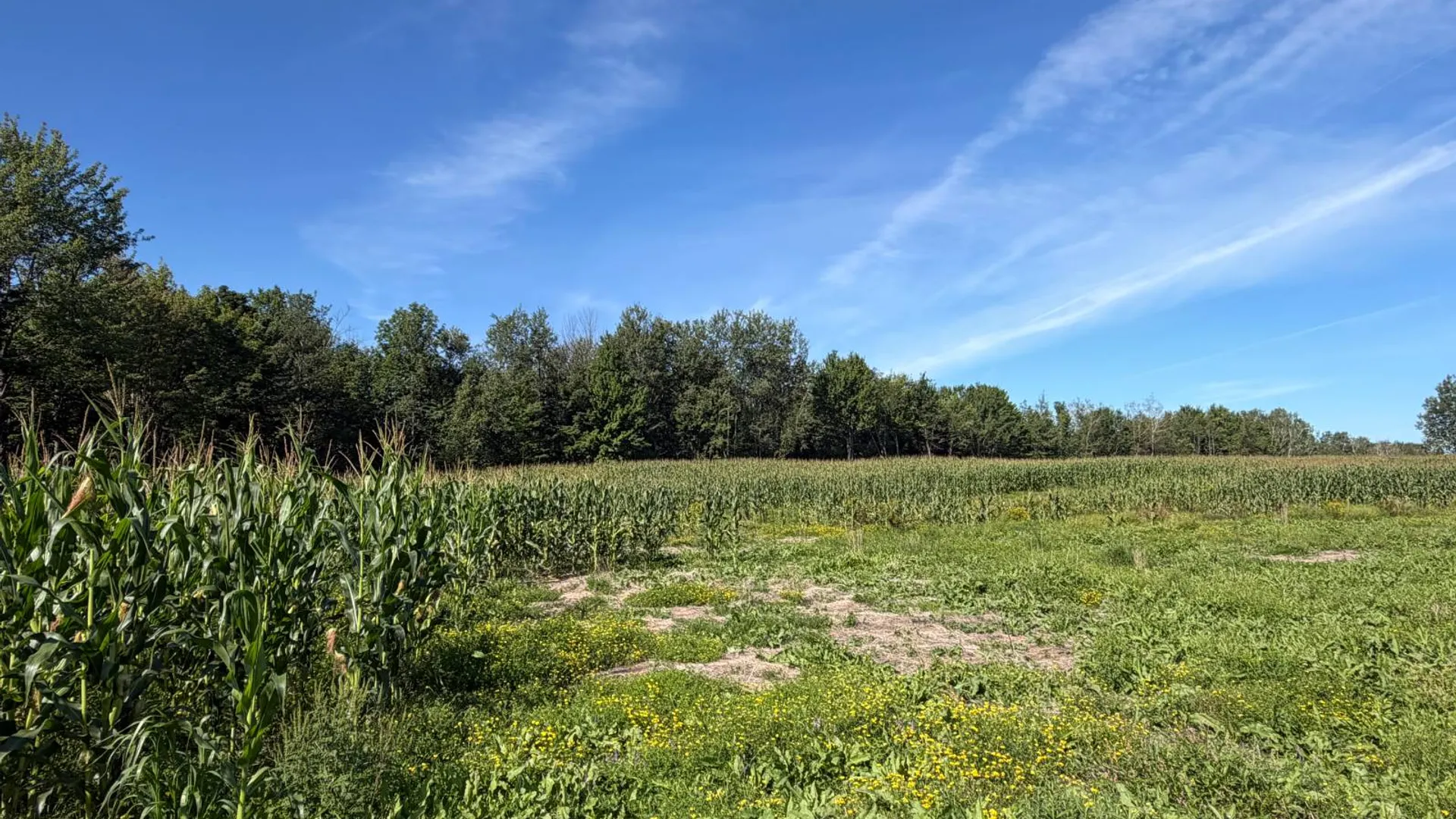 Property at 29 Station Hill Road, Ellenburg Depot, NY 12935 26
