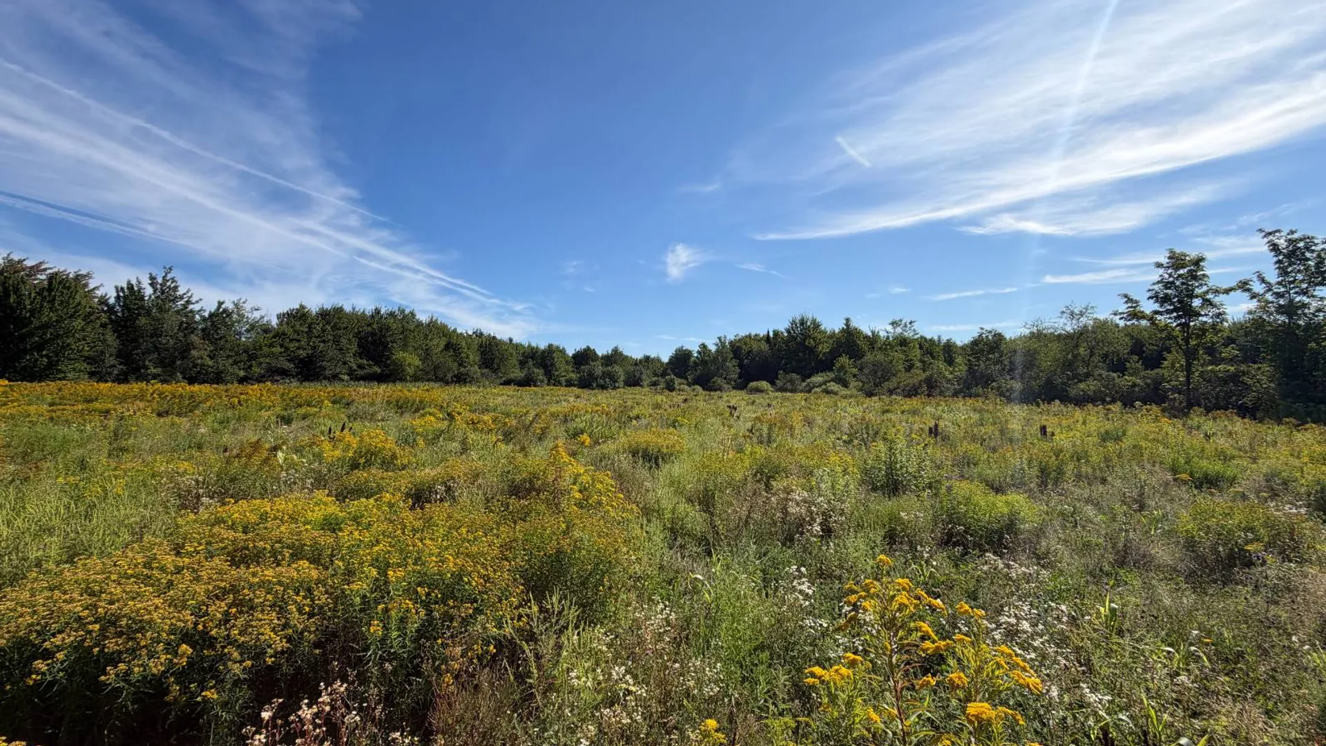 Property at 29 Station Hill Road, Ellenburg Depot, NY 12935 28