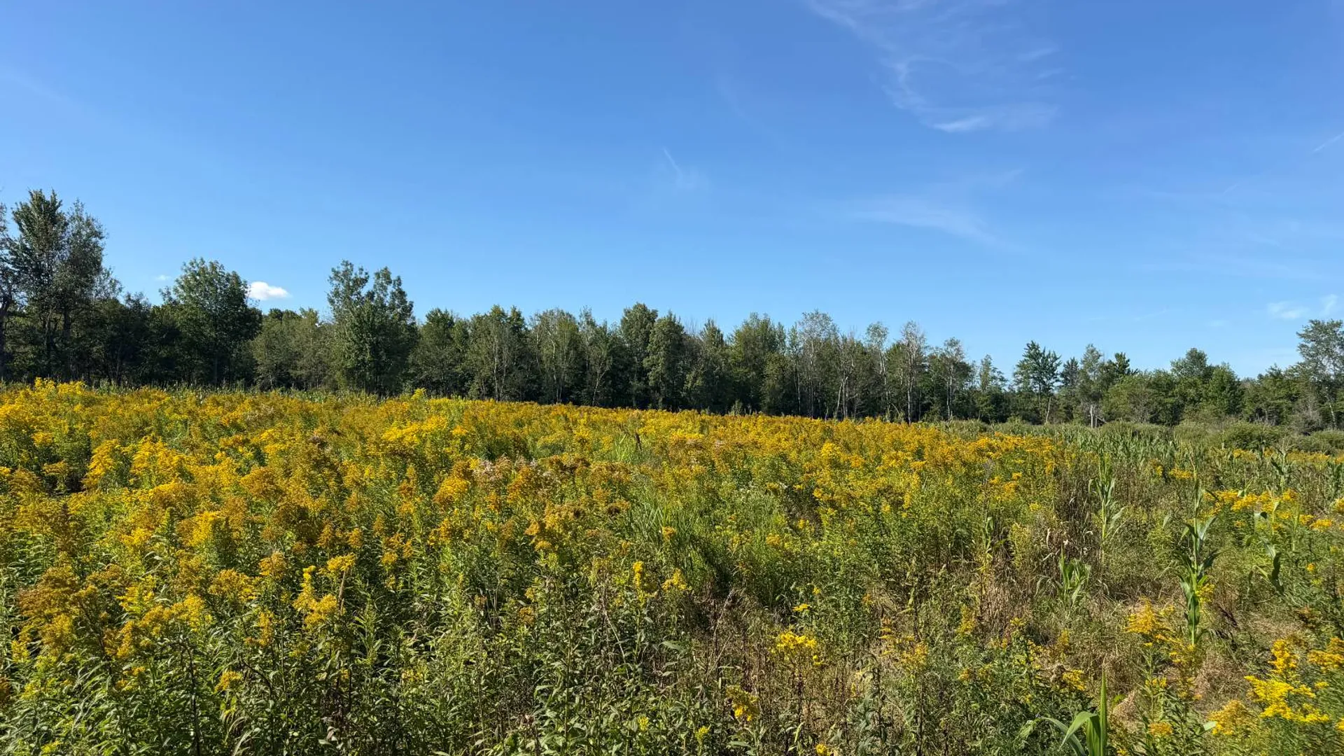 Property at 29 Station Hill Road, Ellenburg Depot, NY 12935 29