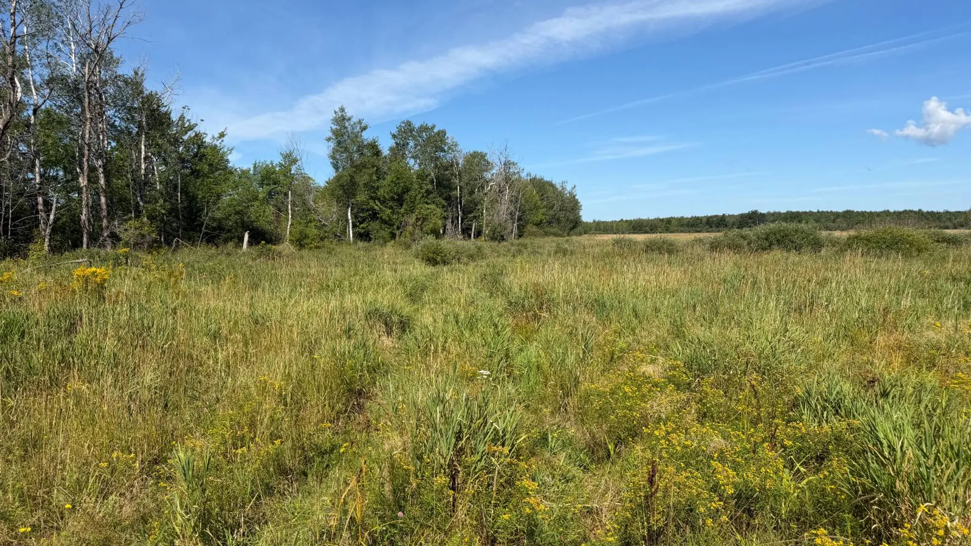 Property at 29 Station Hill Road, Ellenburg Depot, NY 12935 34